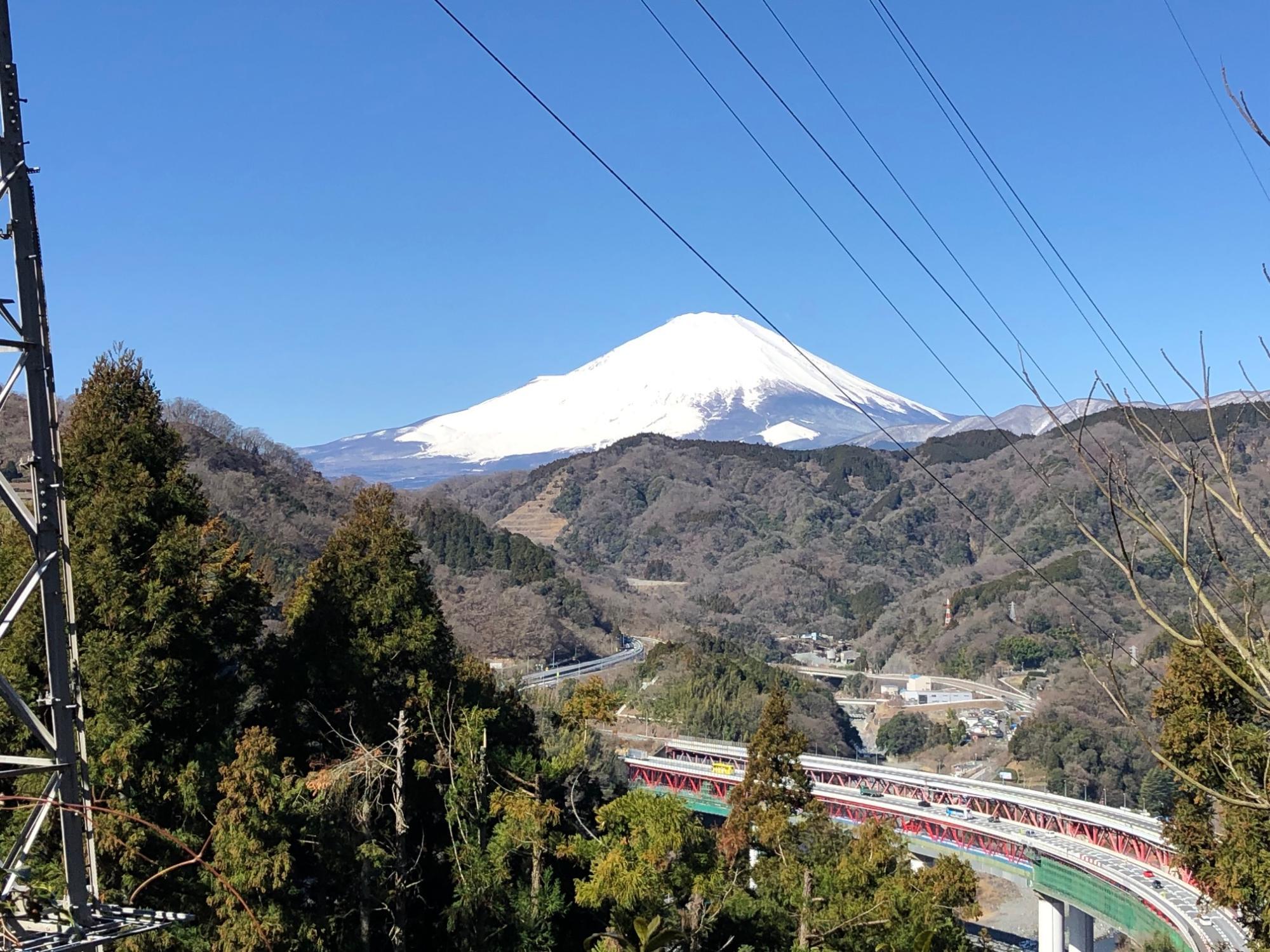 富士山の眺望　下の高架は東名高速道路