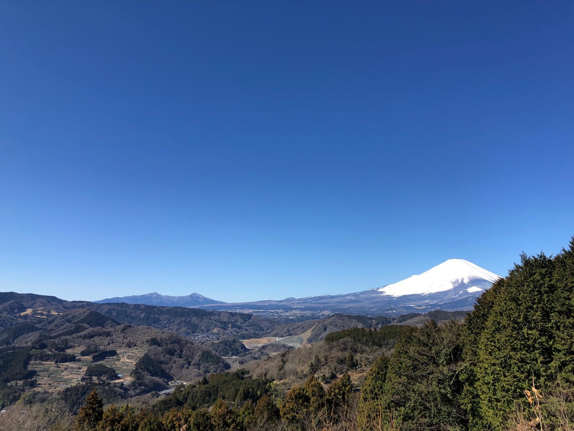 富士山と愛鷹山