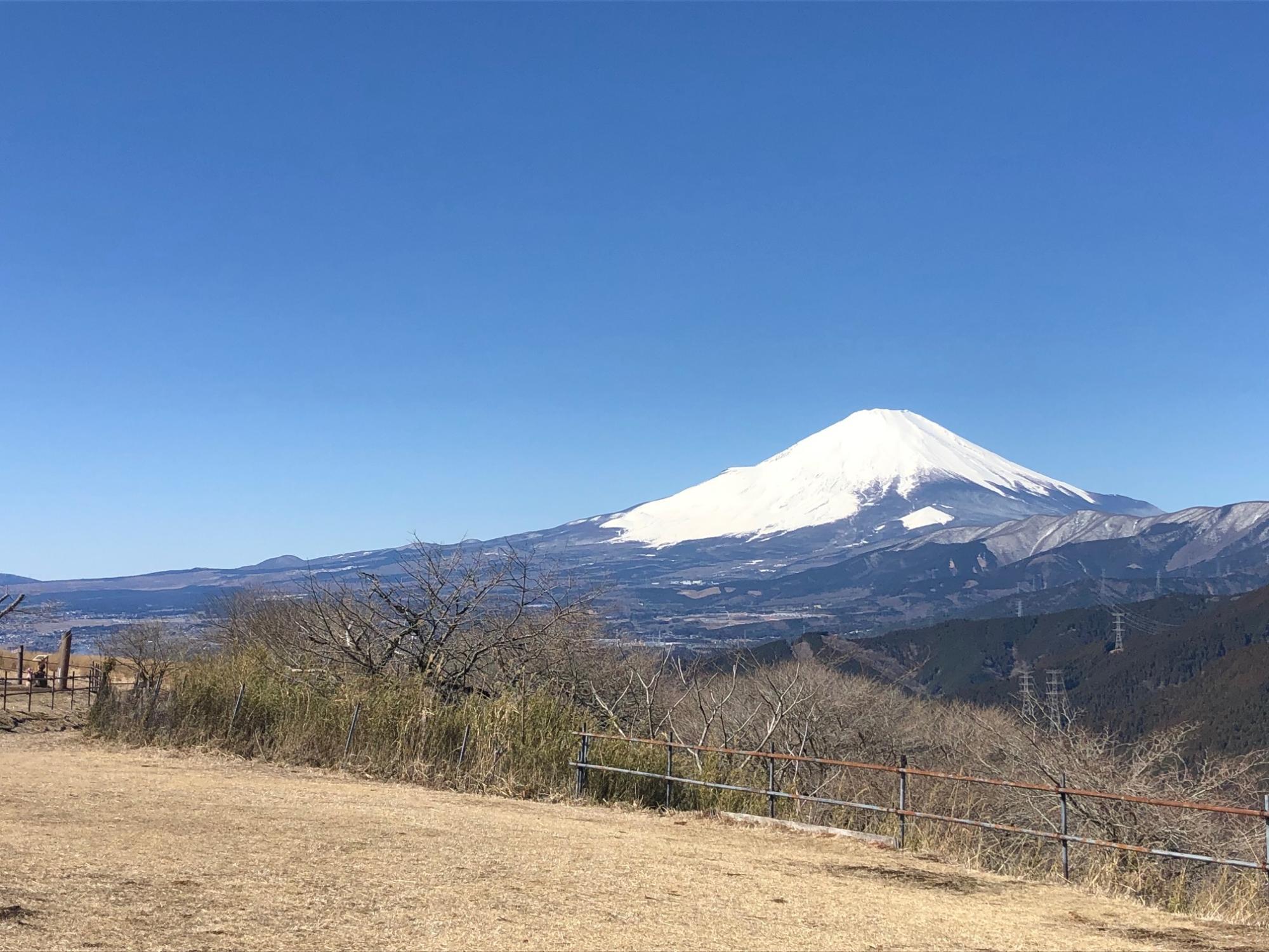 大野山頂上からのおっきな富士山