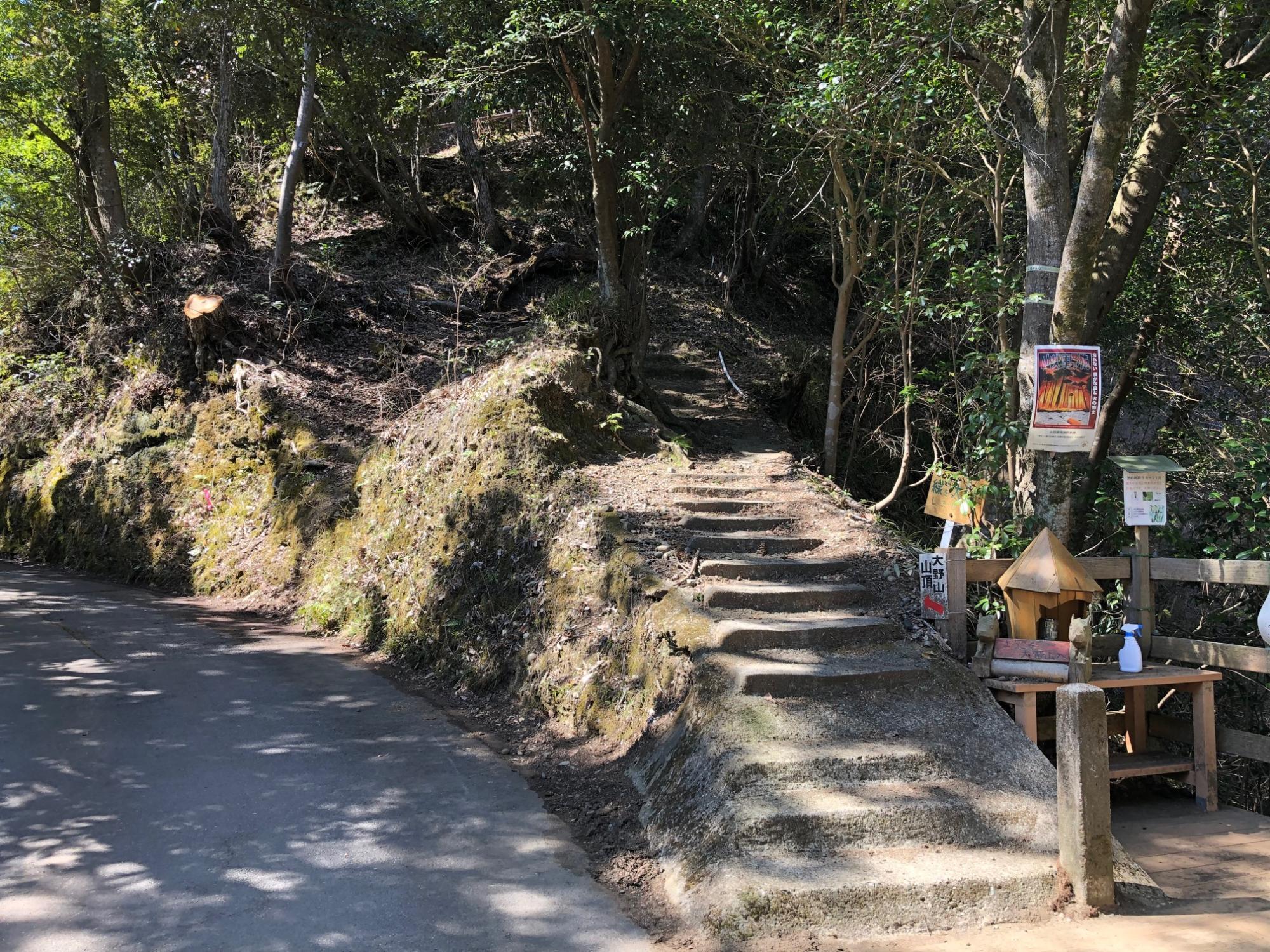 登山道の終点を振り返る