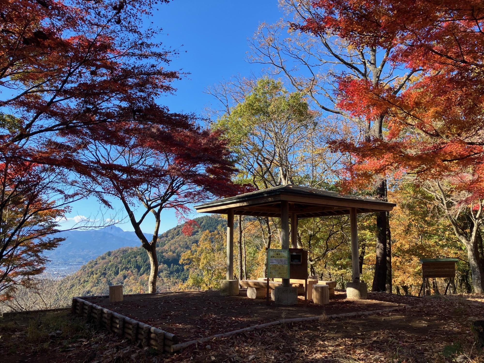 頭高山の頂上