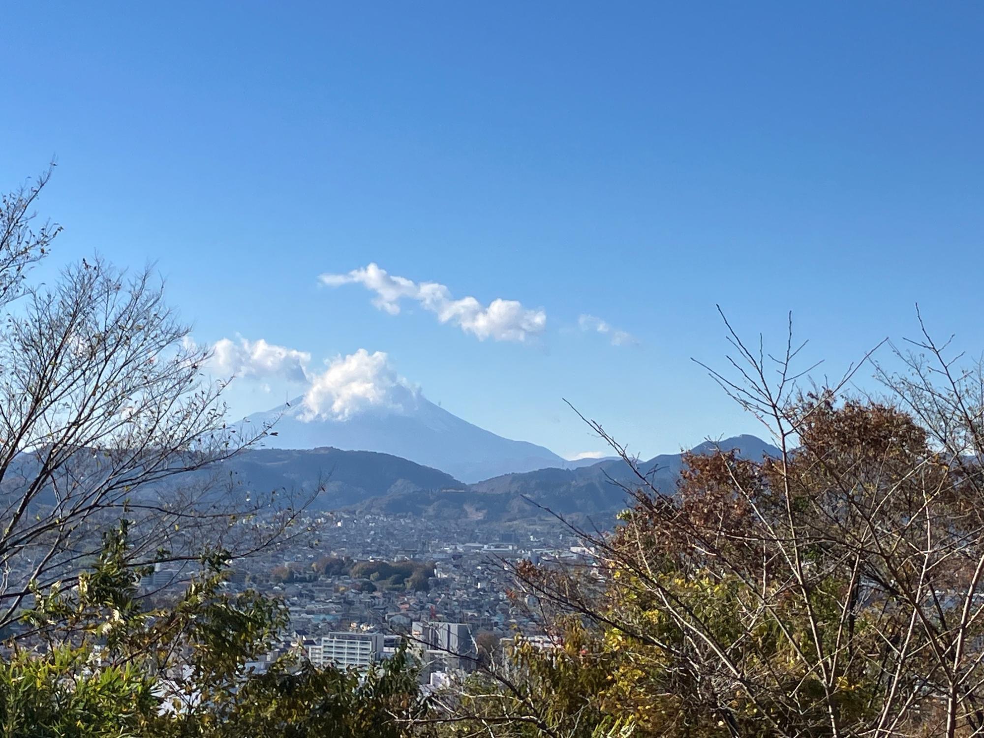 弘法山公園・浅間山からの富士山