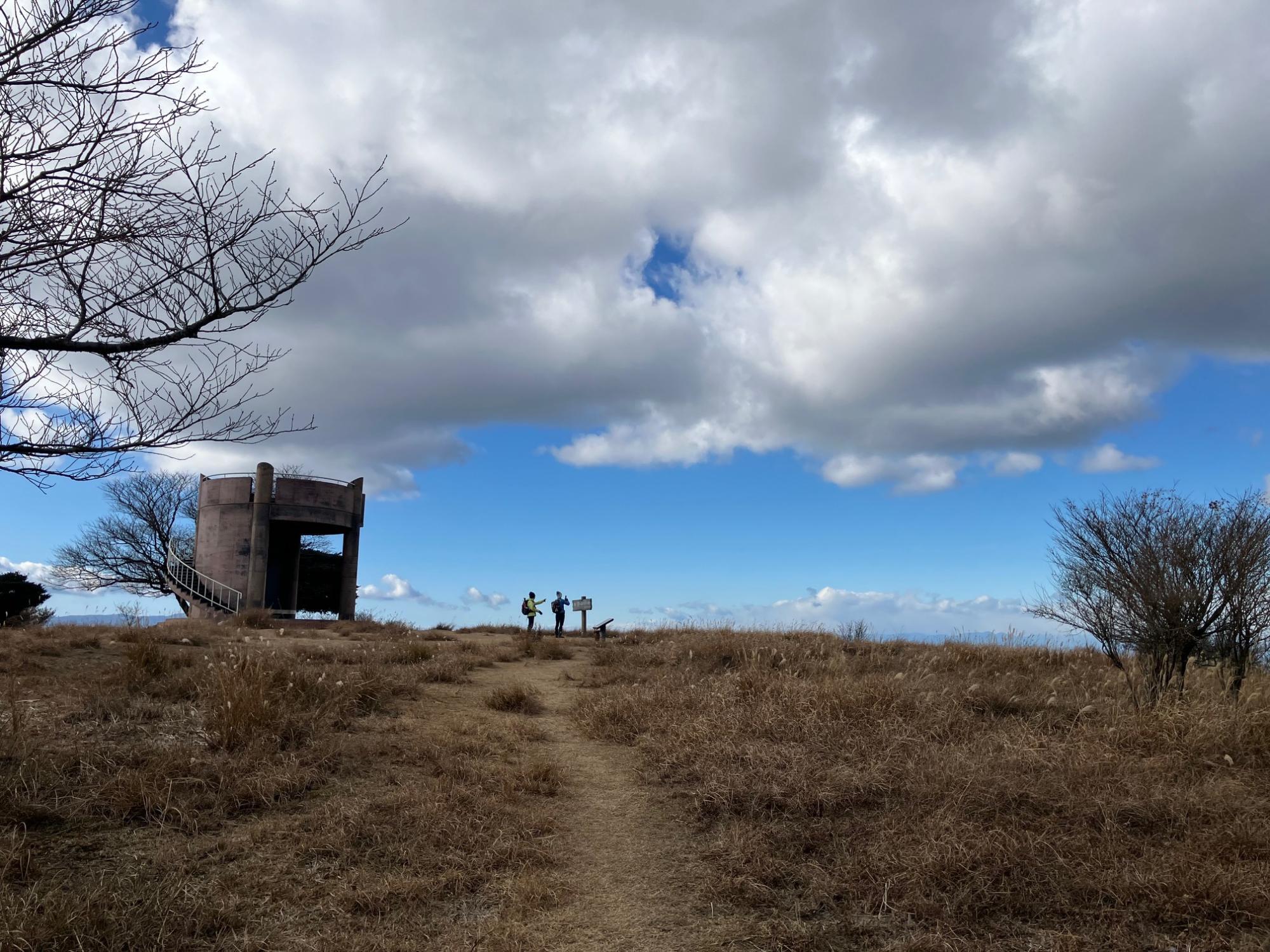 巣雲山のススキ原