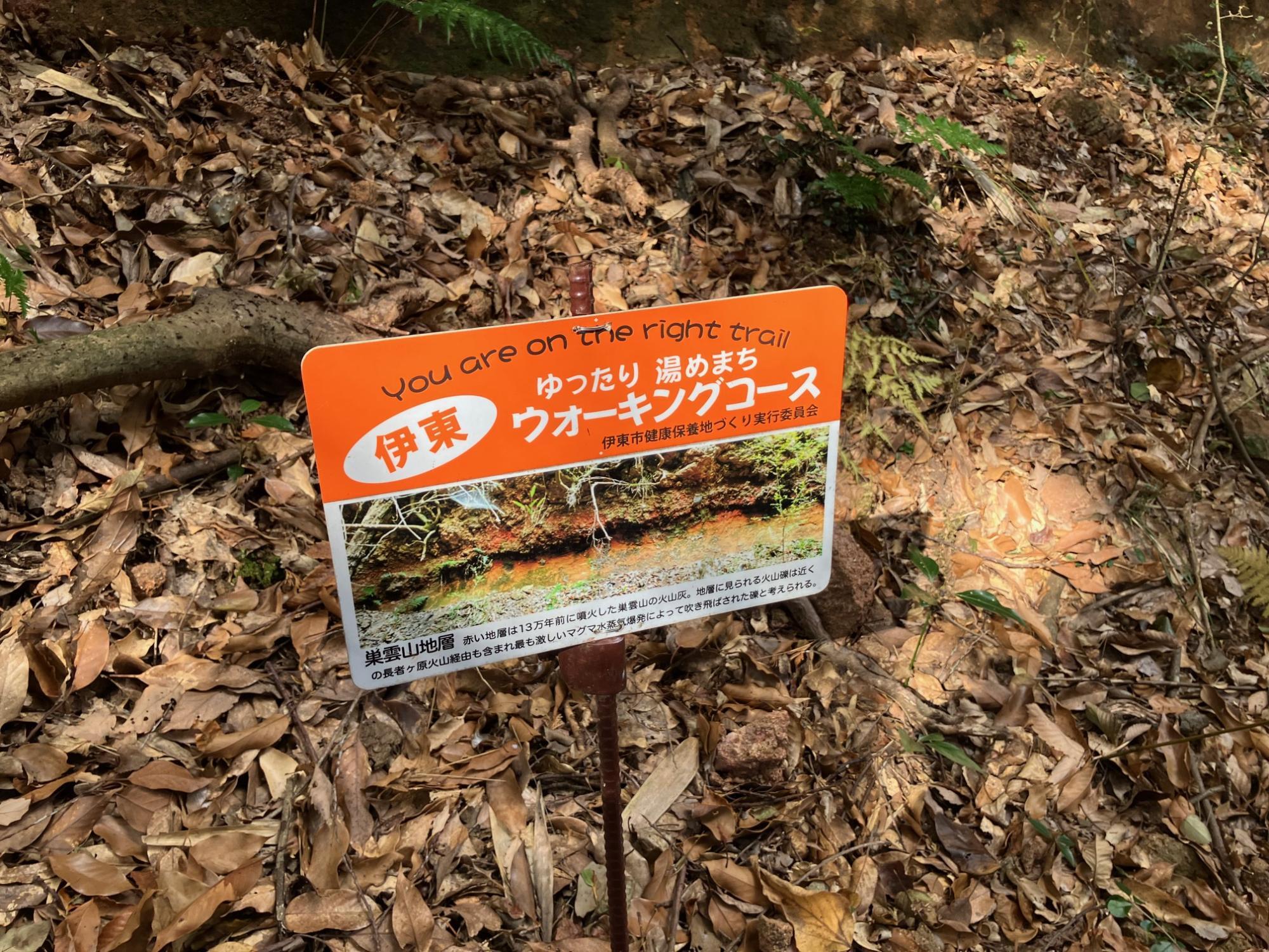 巣雲山の赤土の地層