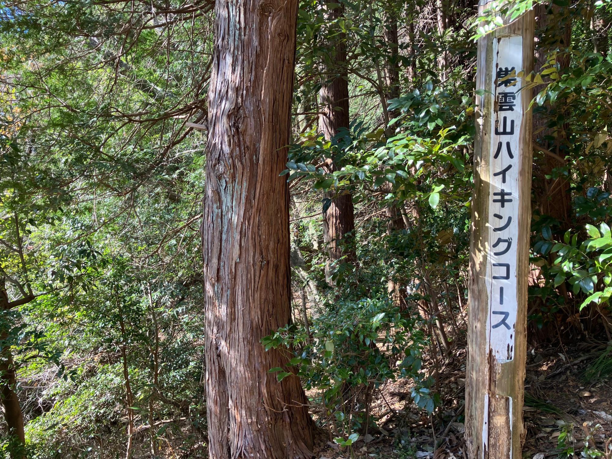 峰コースの登山口