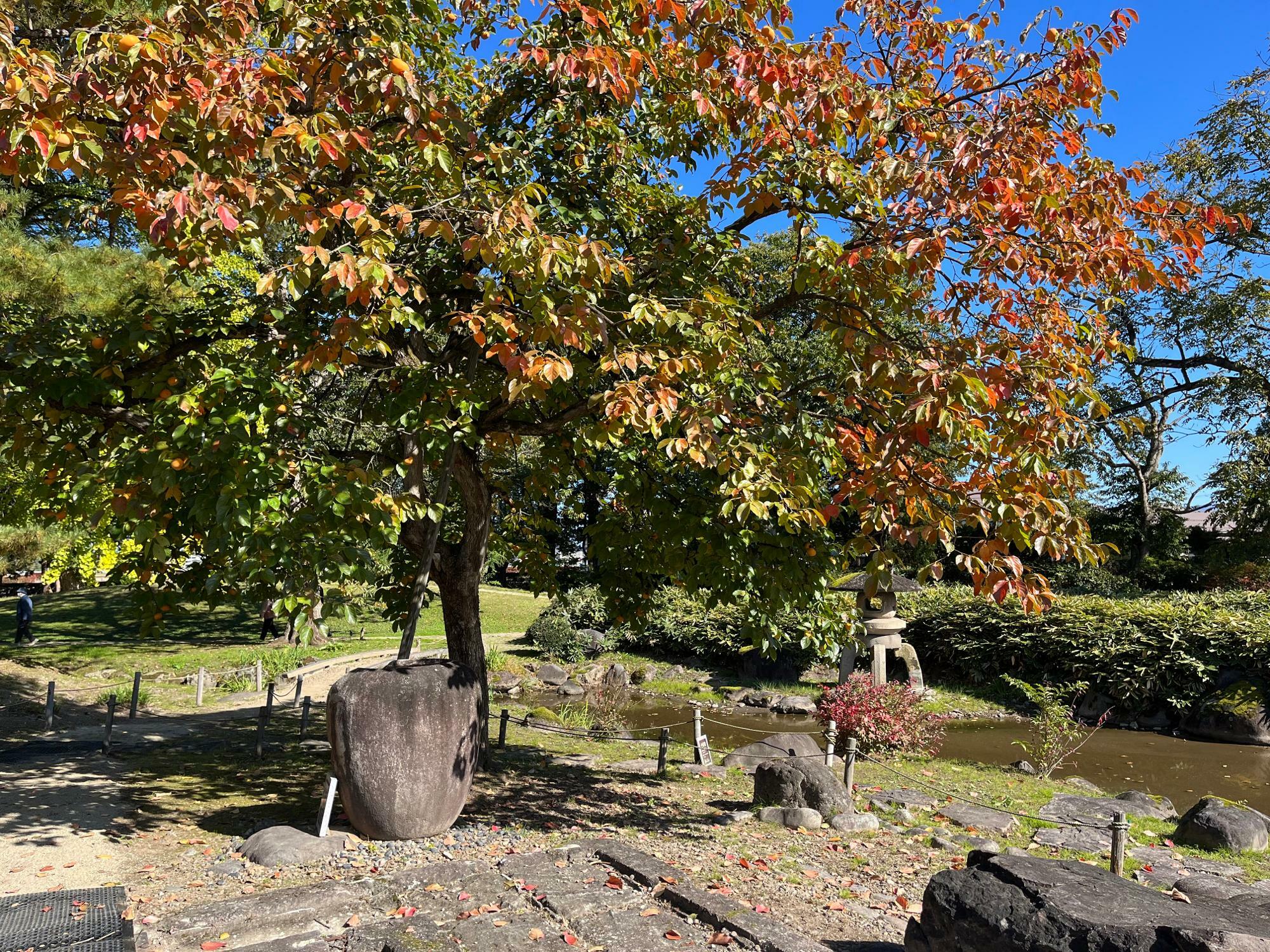 旧池田氏庭園の一般公開は11月13日まで