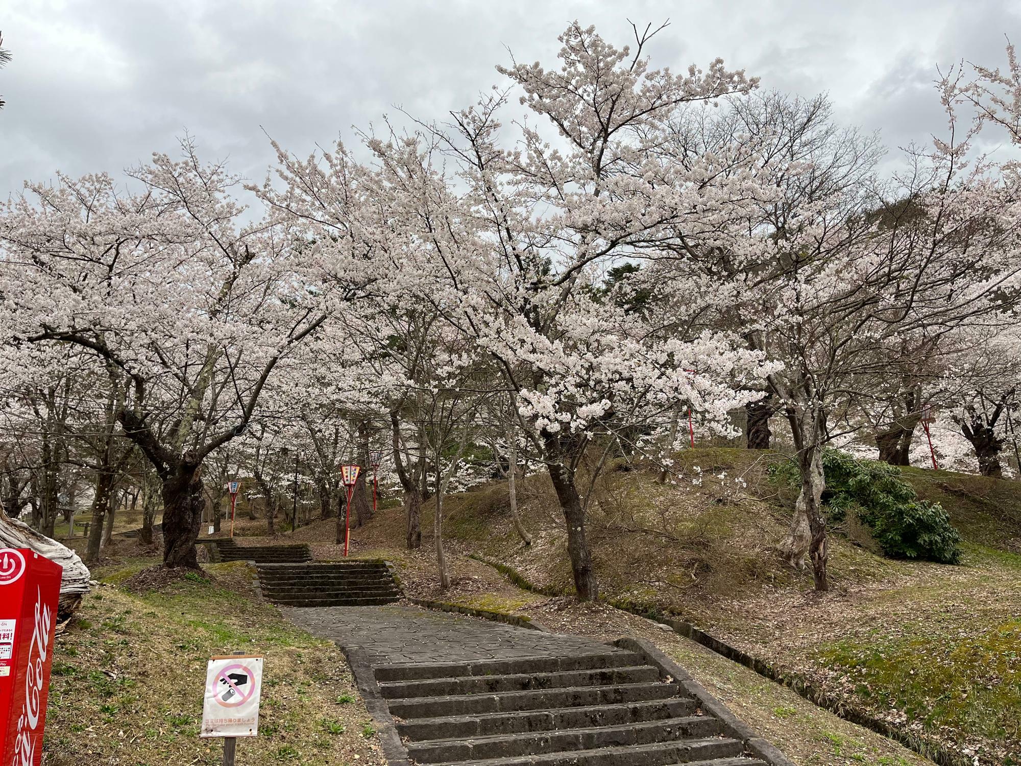真人公園は「日本さくら名所百選」にも認定されている名園だ