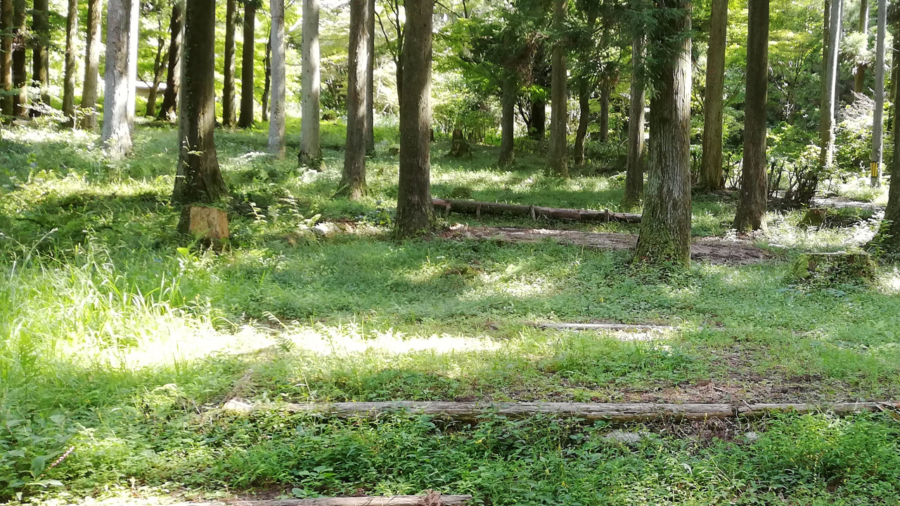 誰もいない山の中のキャンプ場とかほんと怖い