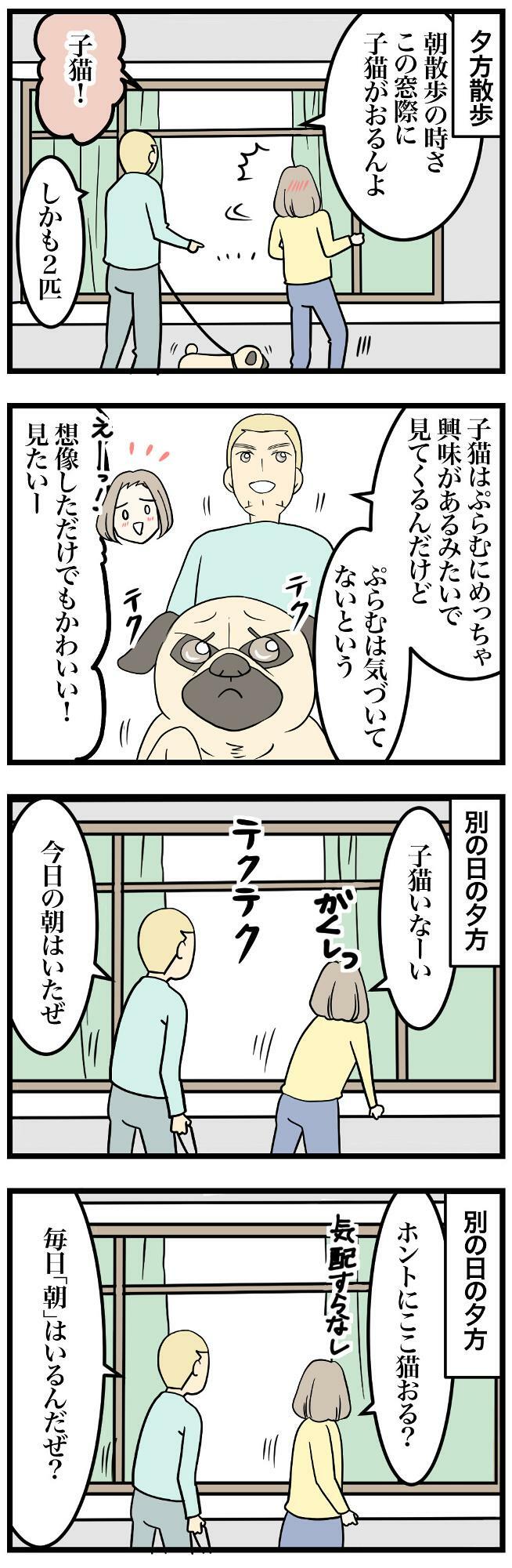 近所の窓際に子猫→興味津々で愛犬へアピールしてくる姿にキュンキュン