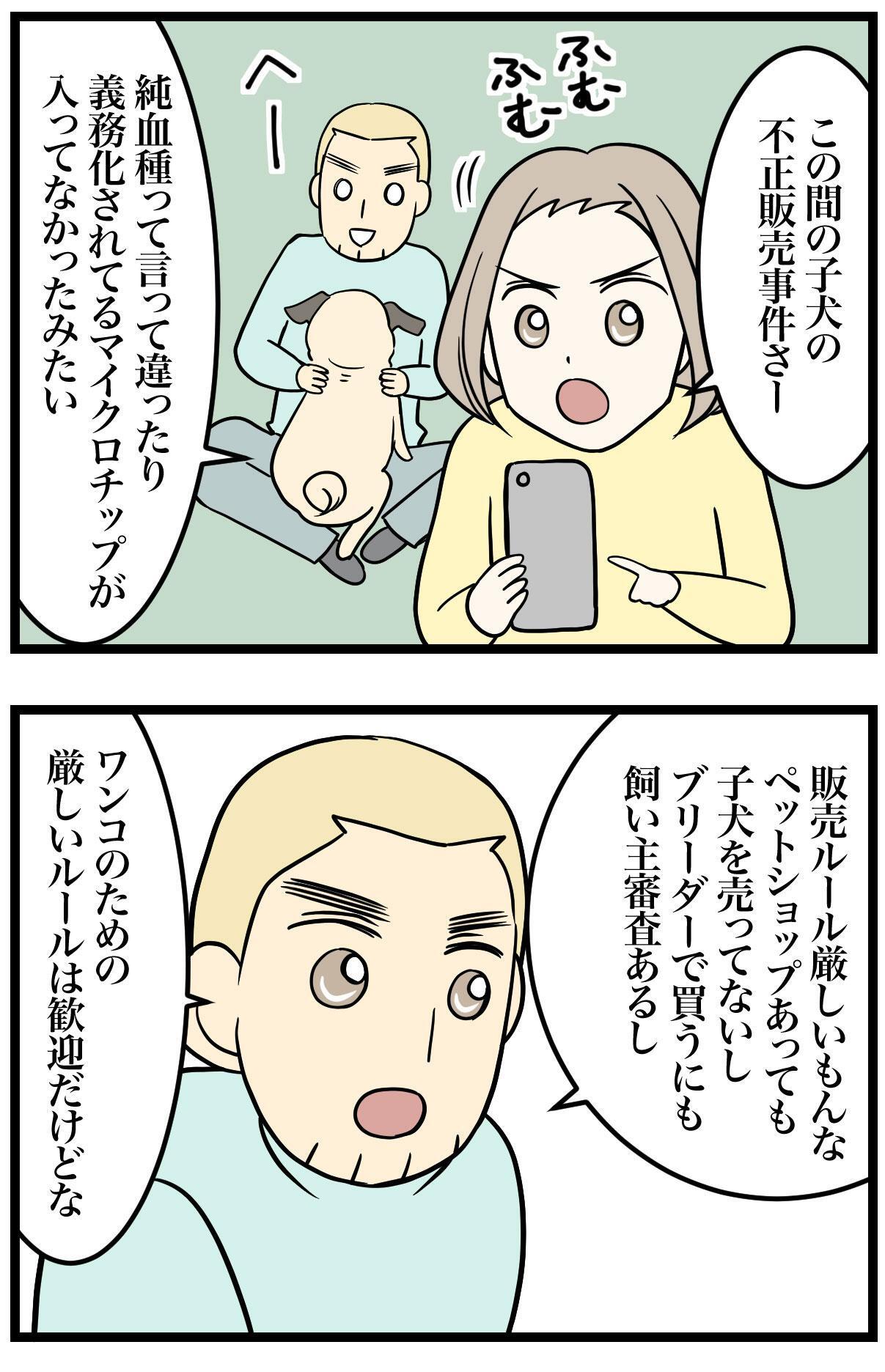 「ひかさん一家でゴゴッゴー」より