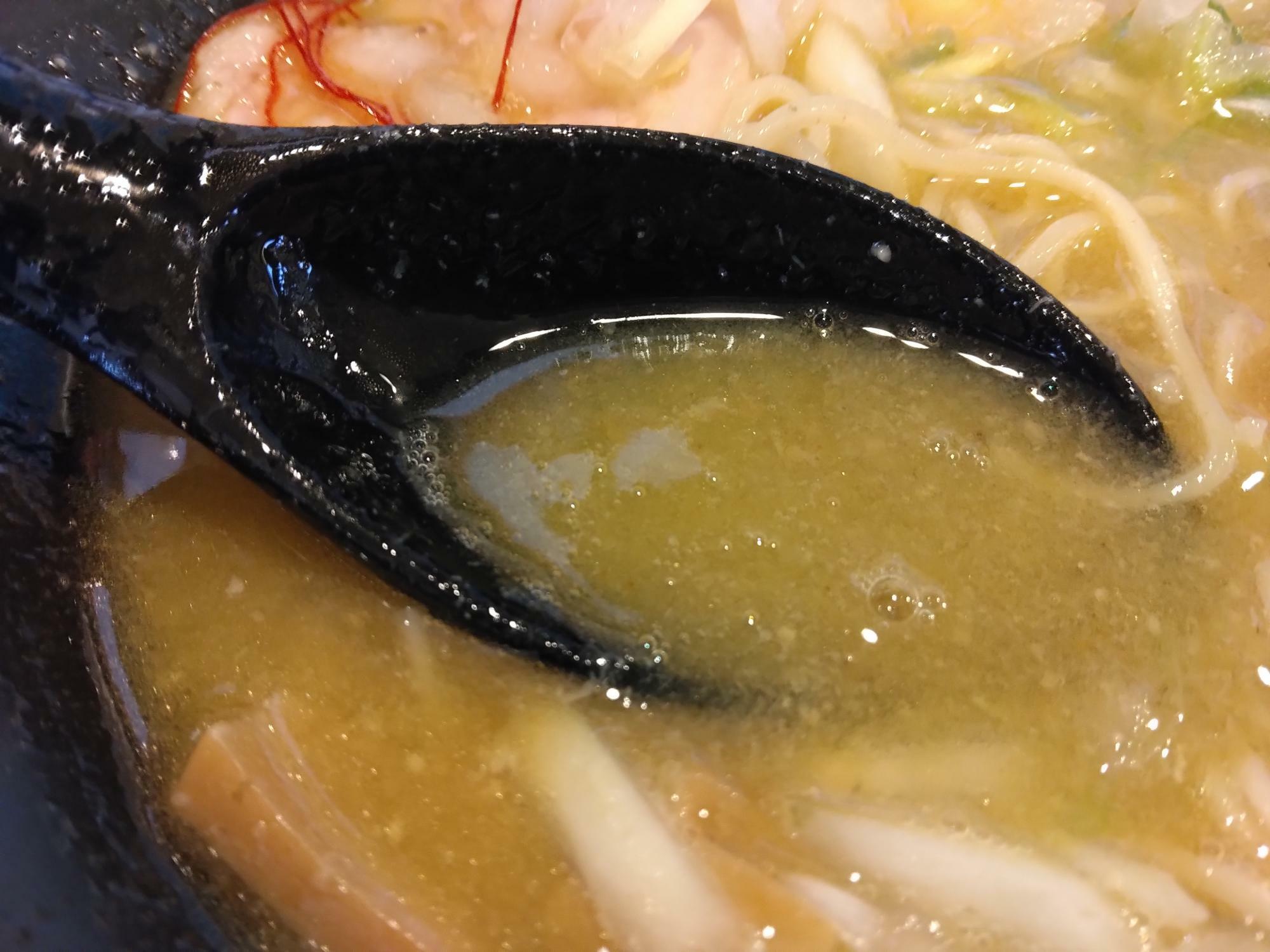 鶏白湯しおのスープ