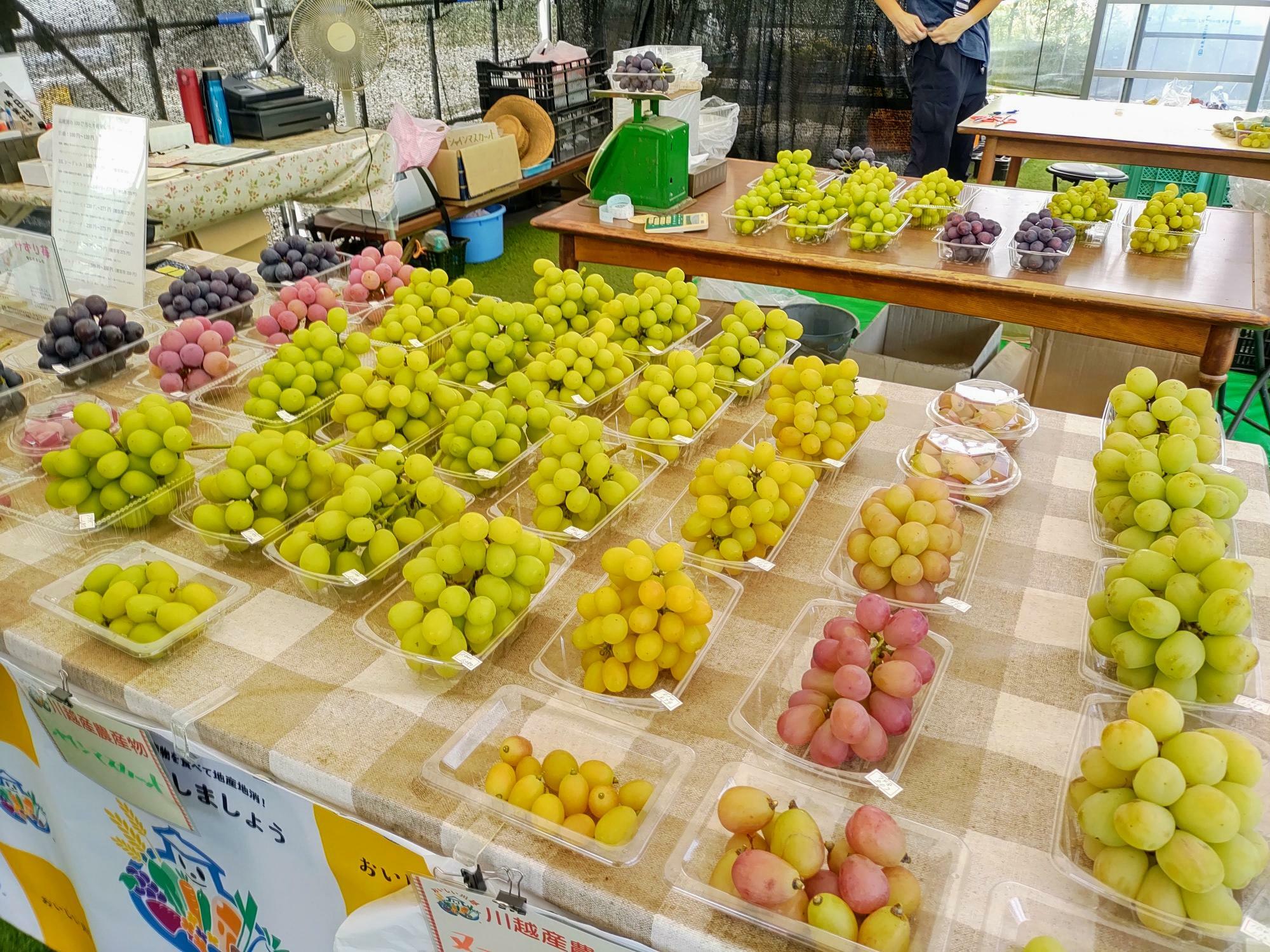 偶数日：10：30から営業