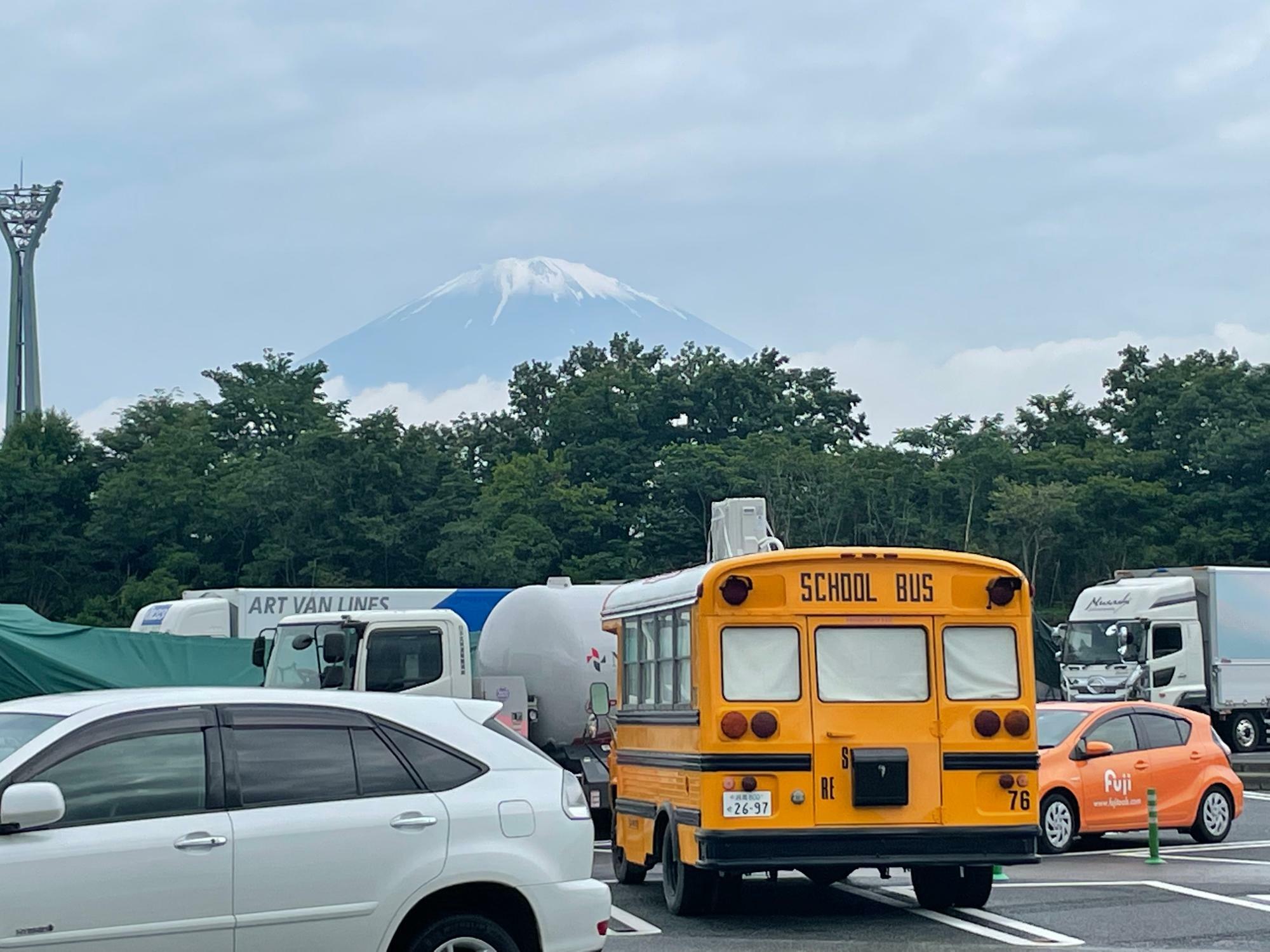 キャリーと富士山
