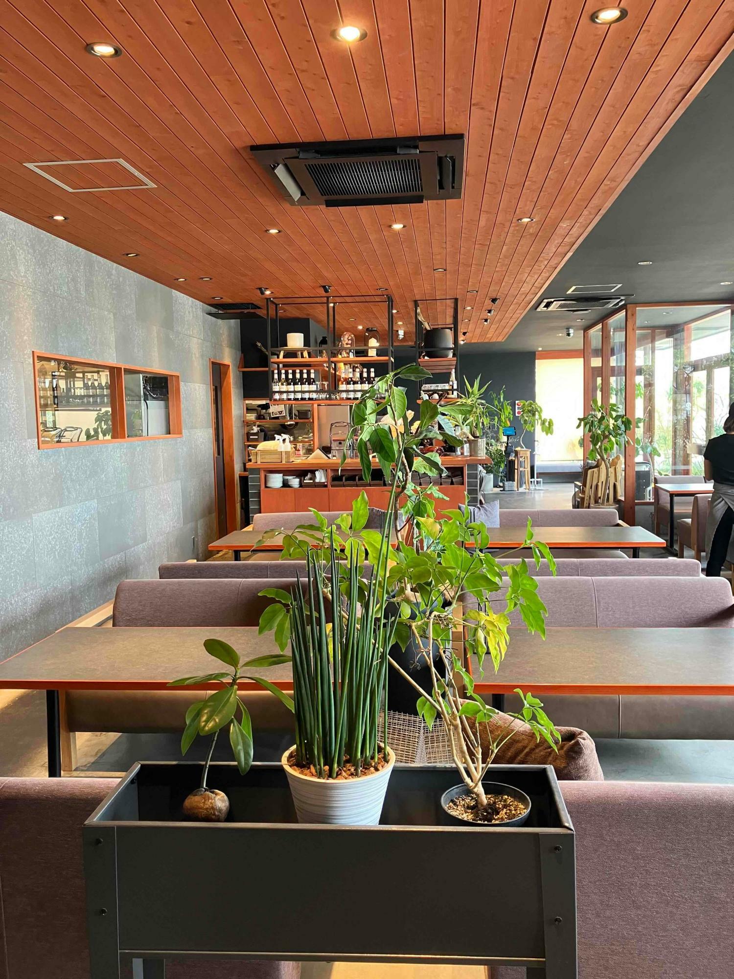 広々とした空間に観葉植物のあるボタニカルな店内です。