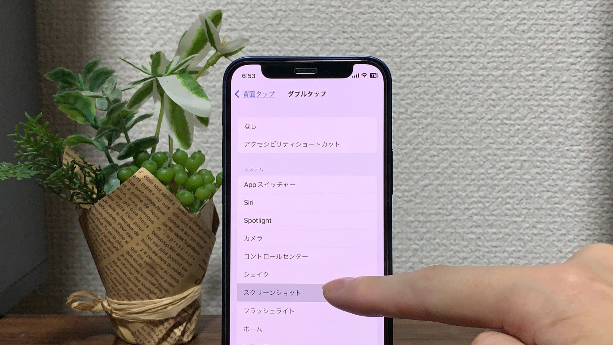 ダブルタップの画面で「スクリーンショット」を選択すれば設定は完了です