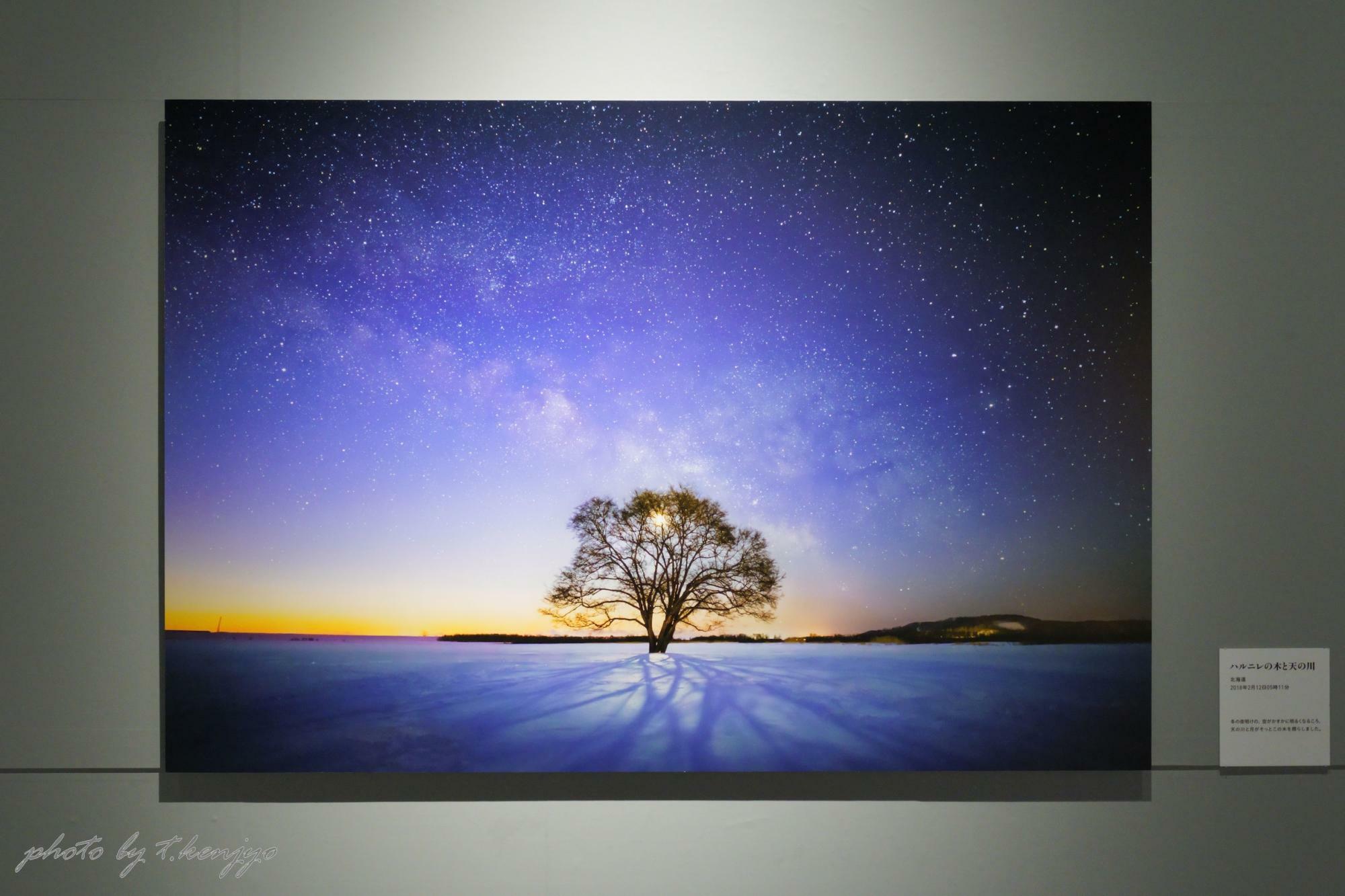 作品名「ハルニレの木と天の川」 撮影地：北海道。※実際に展示された作品の画像です。