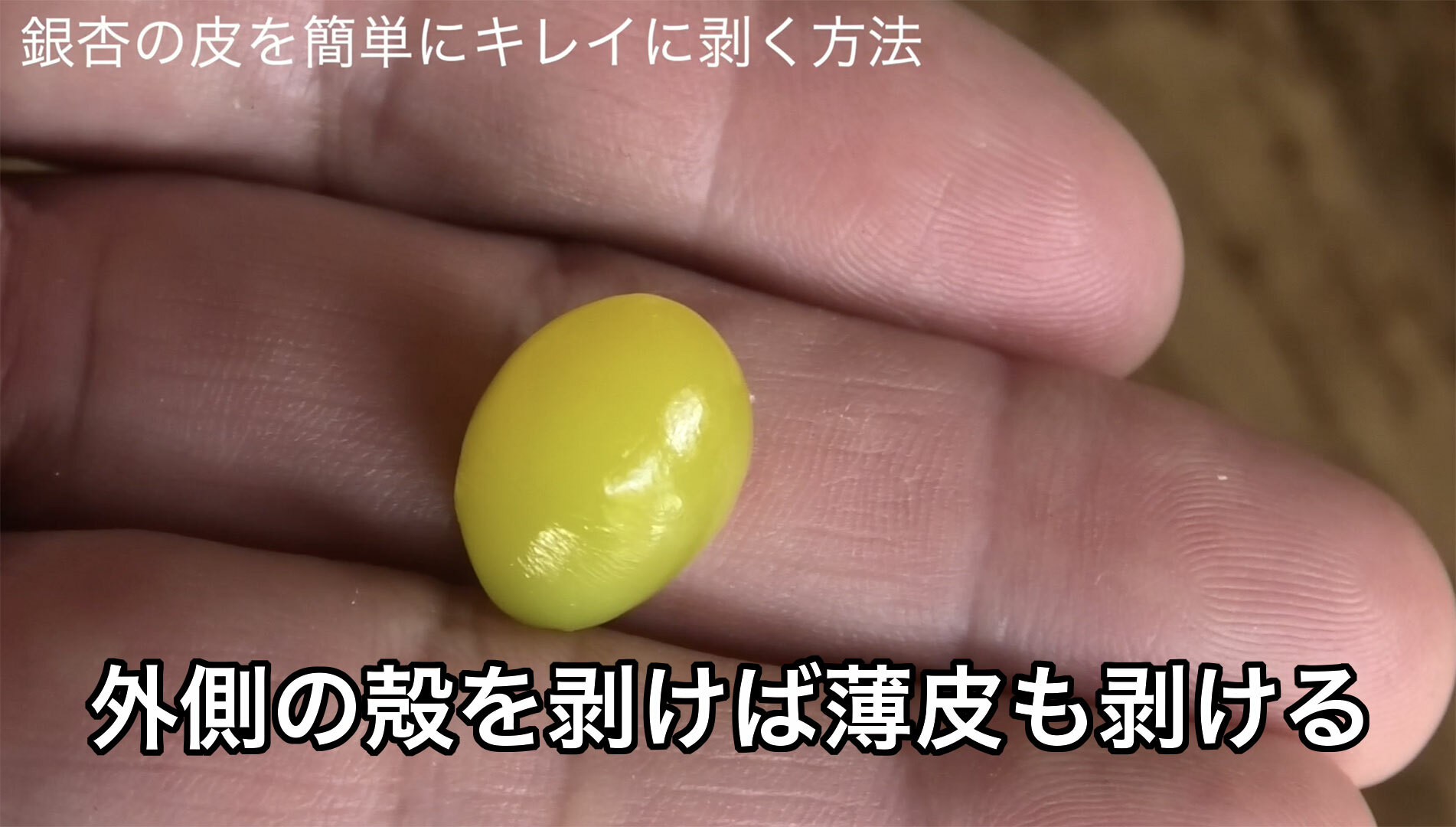 このようにキレイに中身を取り出す事が出来ます。このまま食べても美味しいですし茶碗蒸しに入れるなどの食材としても利用可能です。