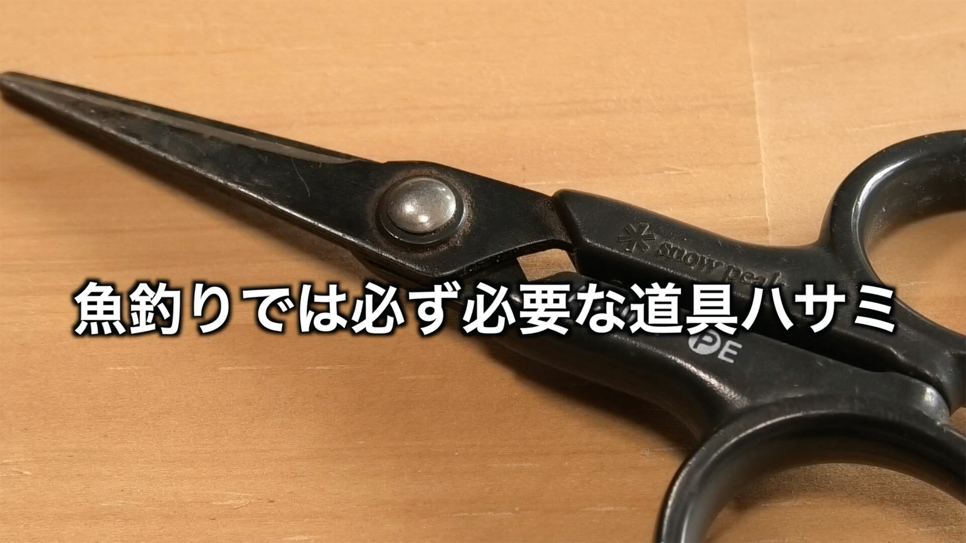 魚釣りで使うハサミも研ぎ直せば切れ味が復活する【ハサミ研ぎのコツ