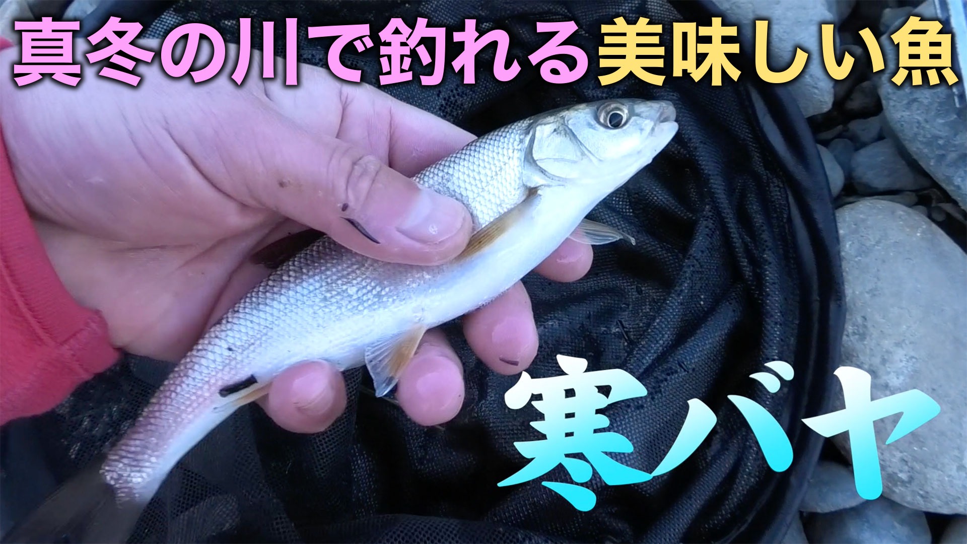 真冬の川で美味しい川魚を釣って食べるための知識【釣り方から調理の