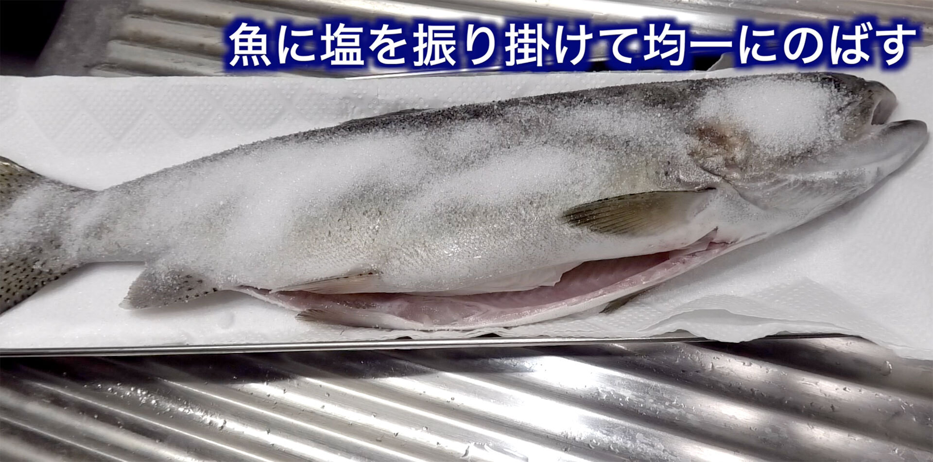 魚を置いたら魚の上にも塩を均一に振り掛けます