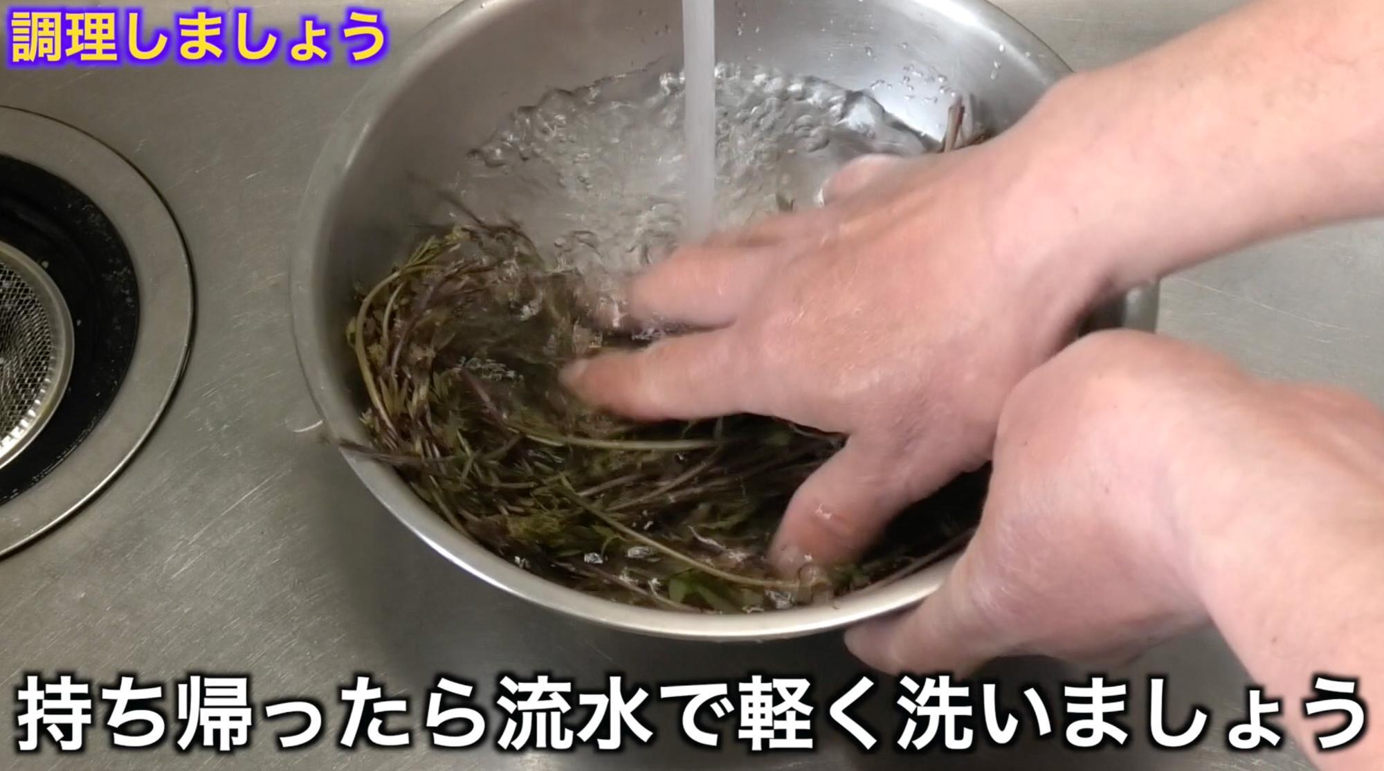 軽く水洗い