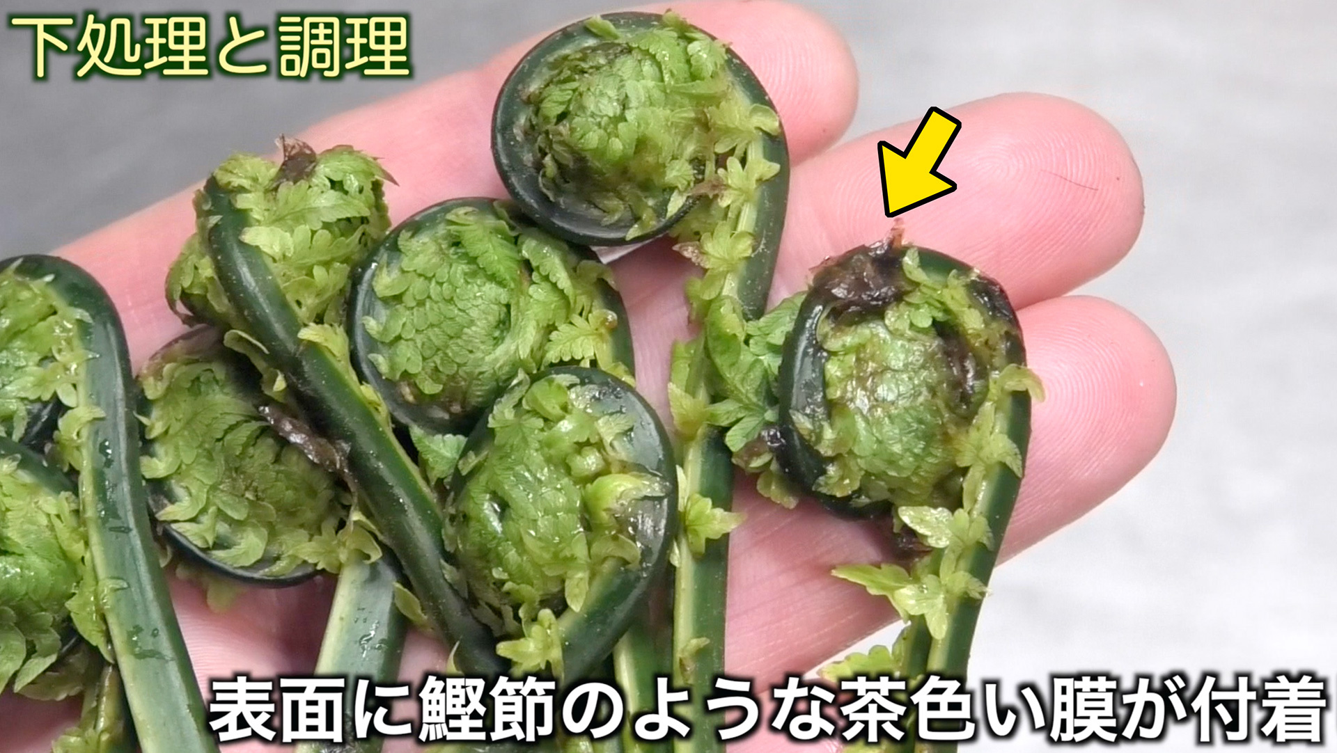 鰹節のような茶色い膜が付いている