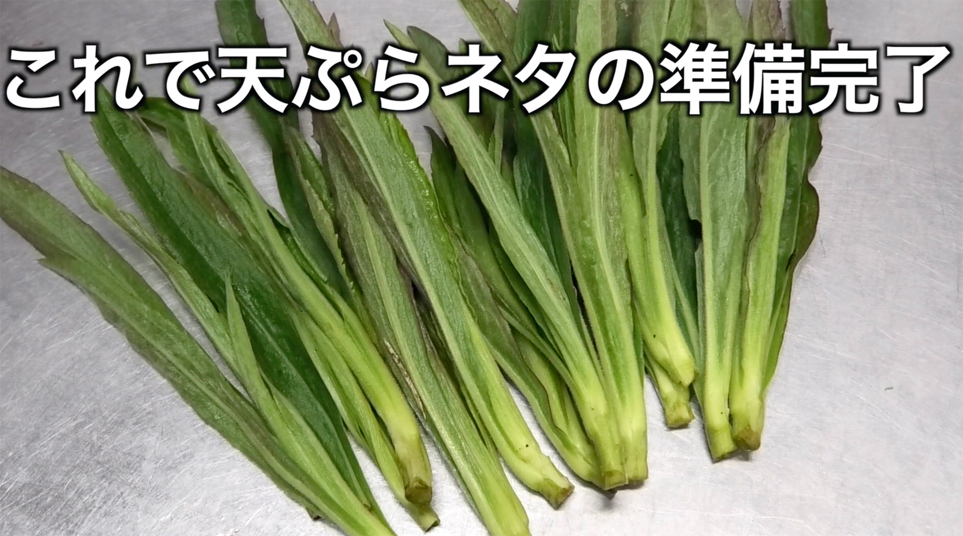天ぷらネタとして下処理が完了したセイタカアワダチソウの新芽