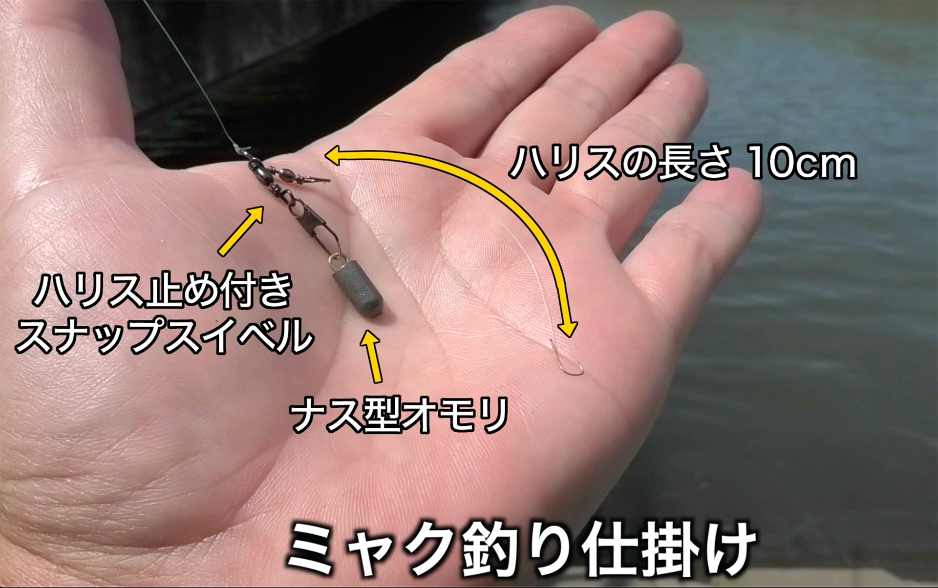 デキハゼのミャク釣り仕掛け