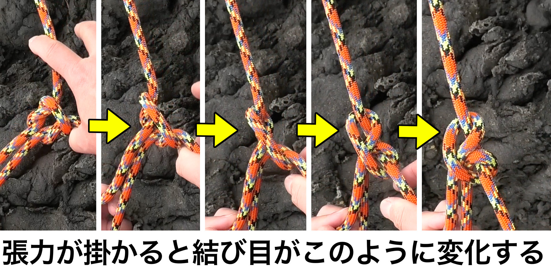 ロープの結び目に力が掛かった時の結び目の変化