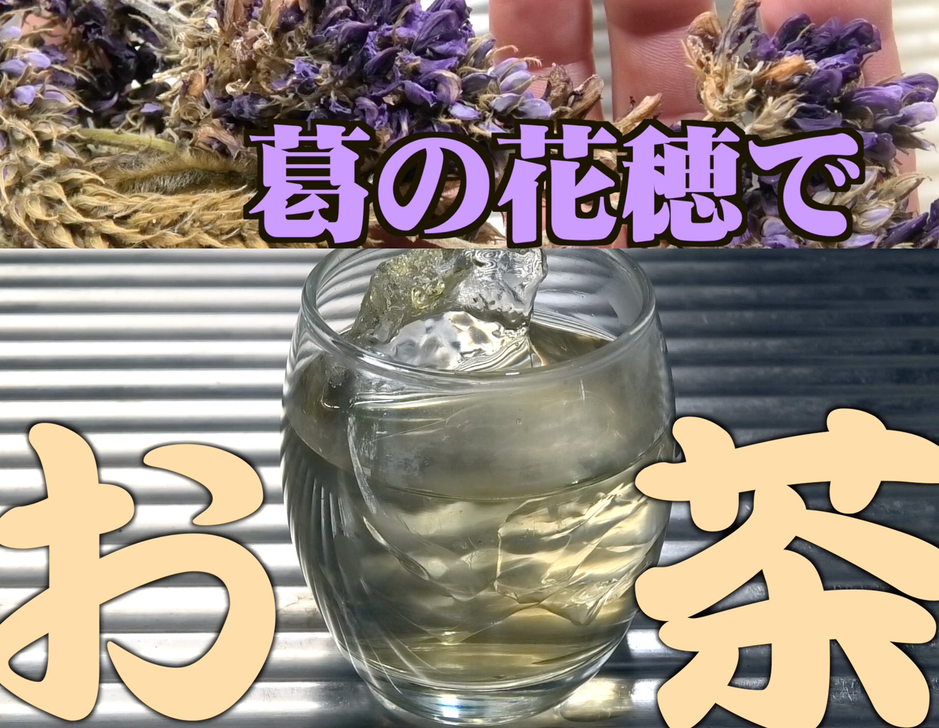 葛の花で作る健康茶