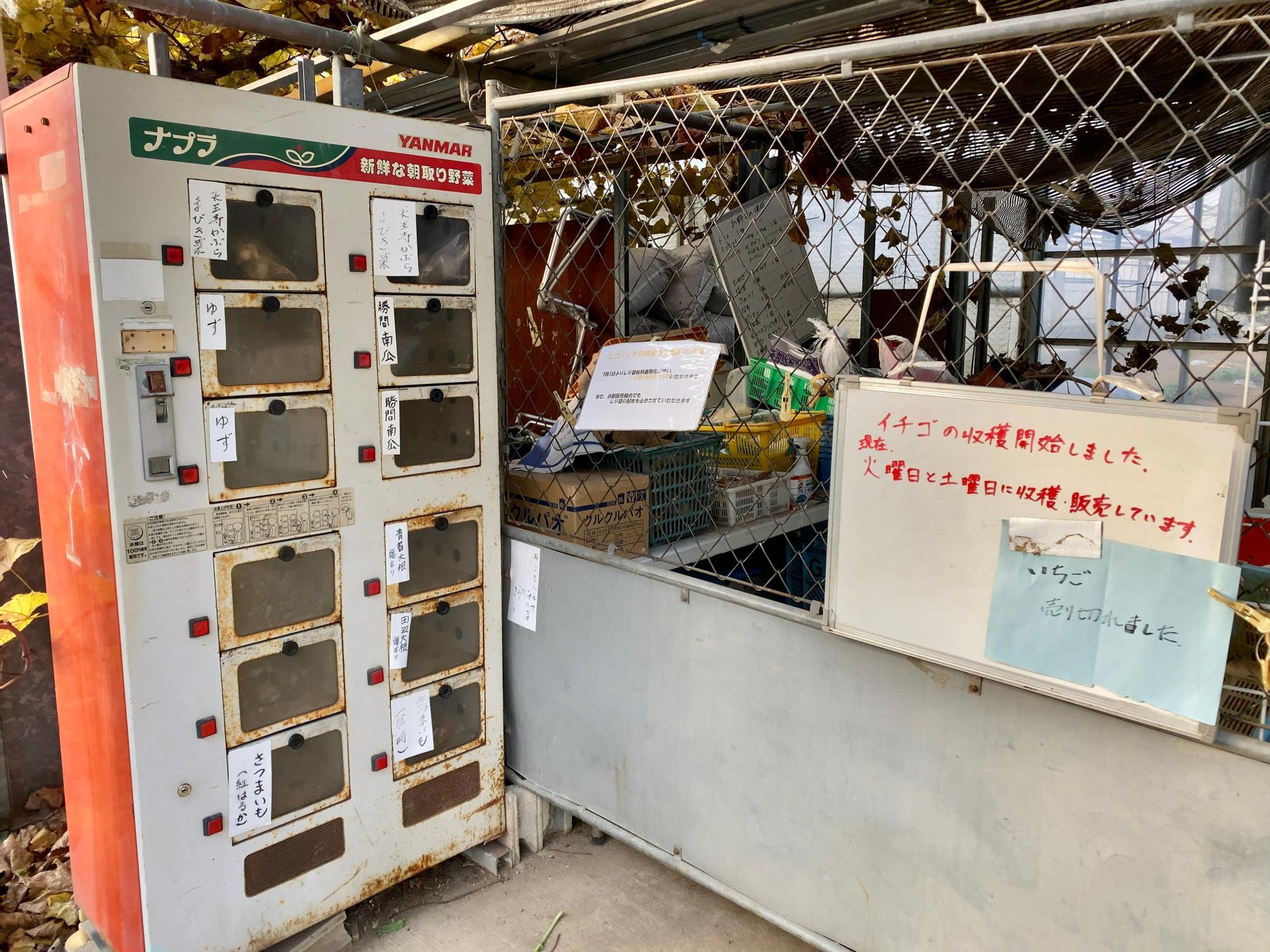 コイン販売機 朝市くん - 鳥取県のその他