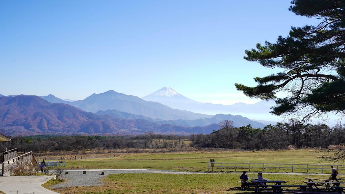 会場の清泉寮からは富士山が一望できる。