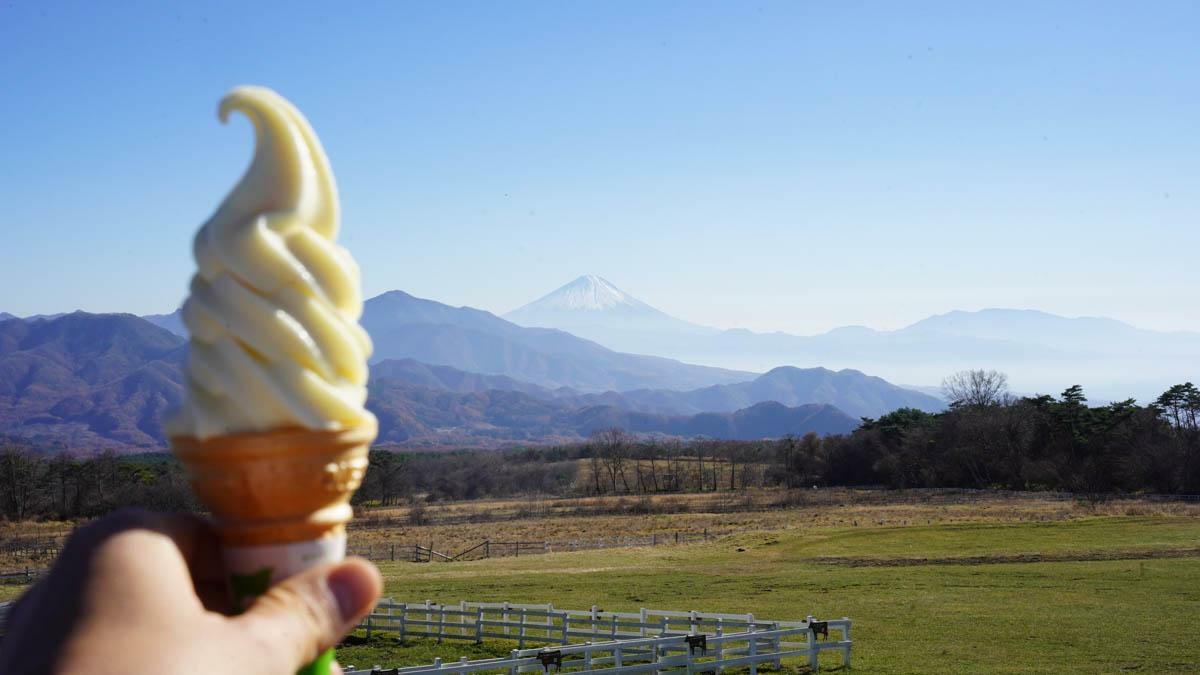 富士山を眺めながら食べる牧場ソフトクリームにも、顕著なストレス解消効果が確認されました（著者主観）。