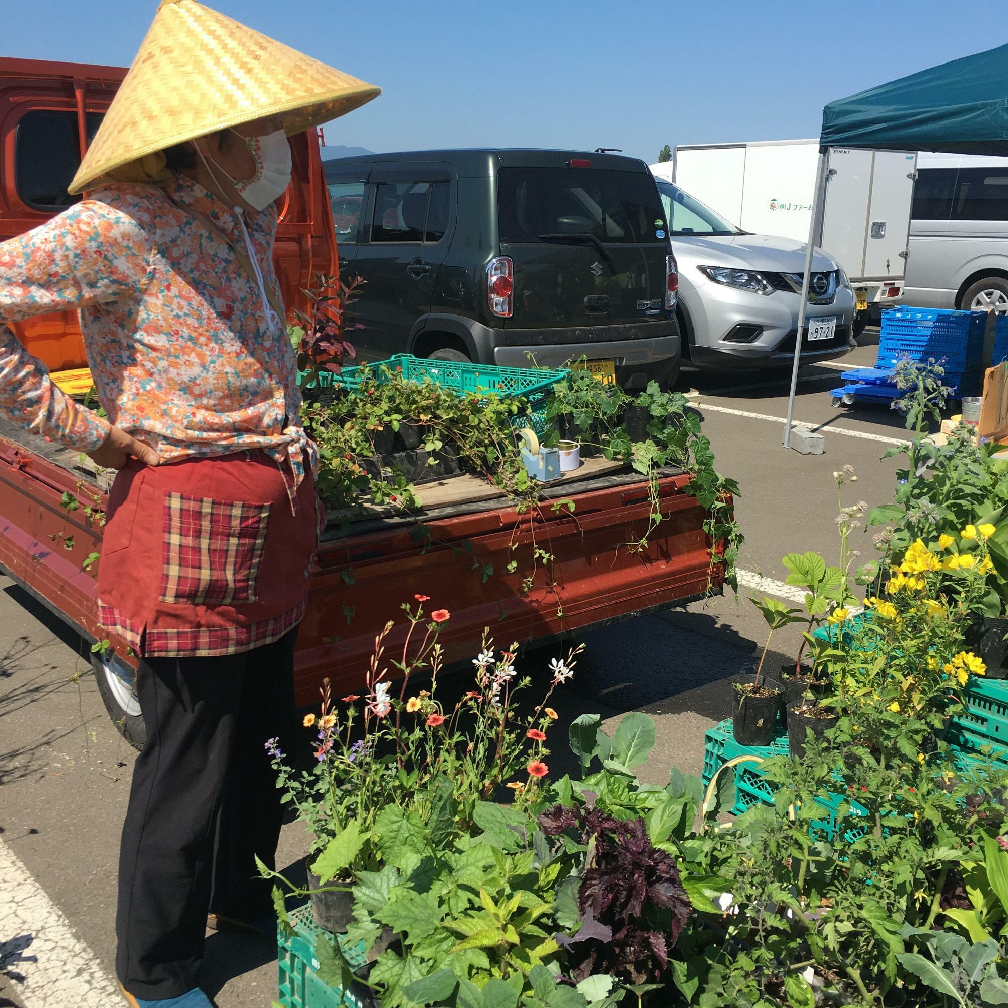 やさいの販売だけではなく、野菜の苗や庭の花の苗もあります。出店者の細貝さんはいつもマニアックな苗や、8月になると珍しい野菜を持って出店するので、ファンもとても多いのです