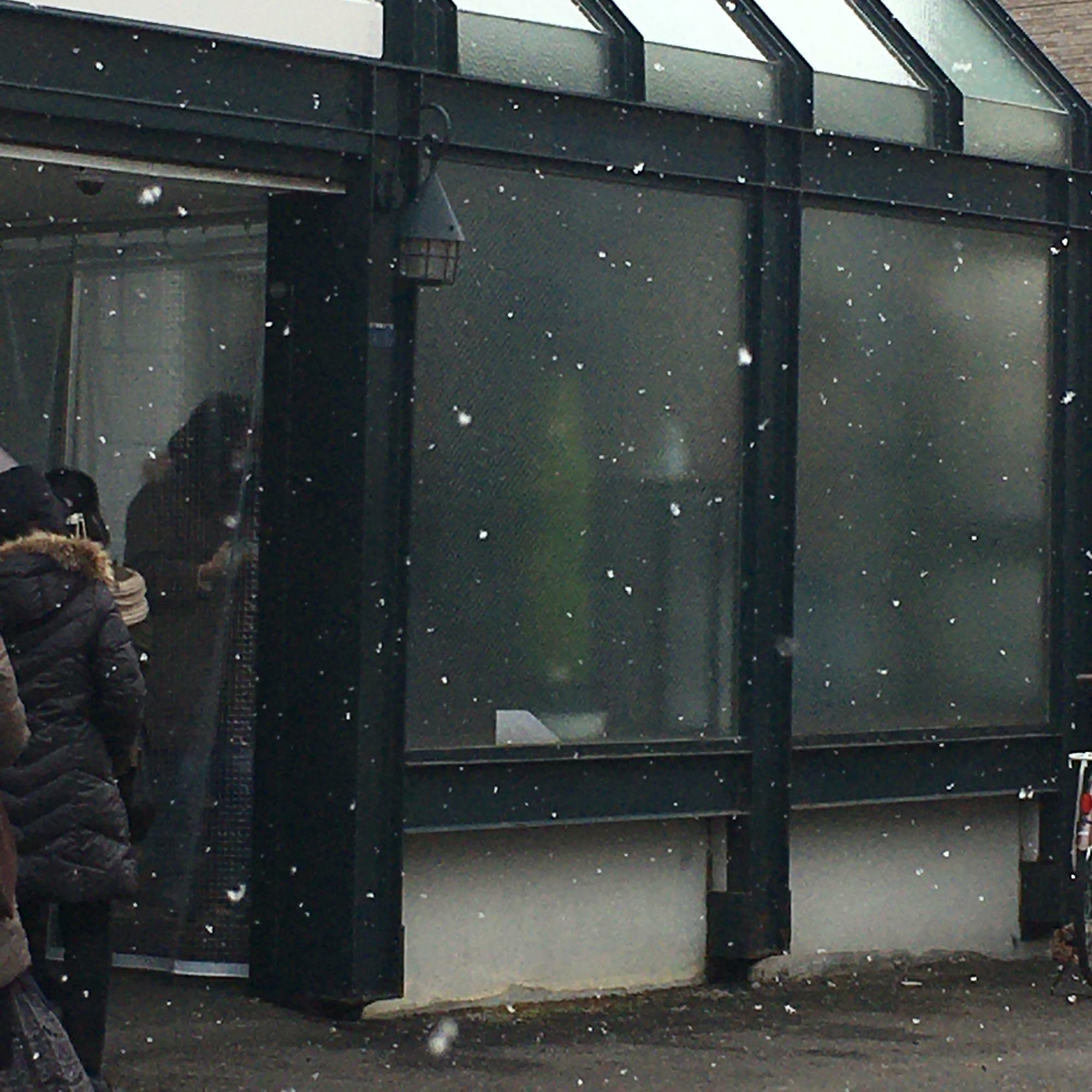 今日も雪の中、多くのファンが外で並んでオープンを待っていました！