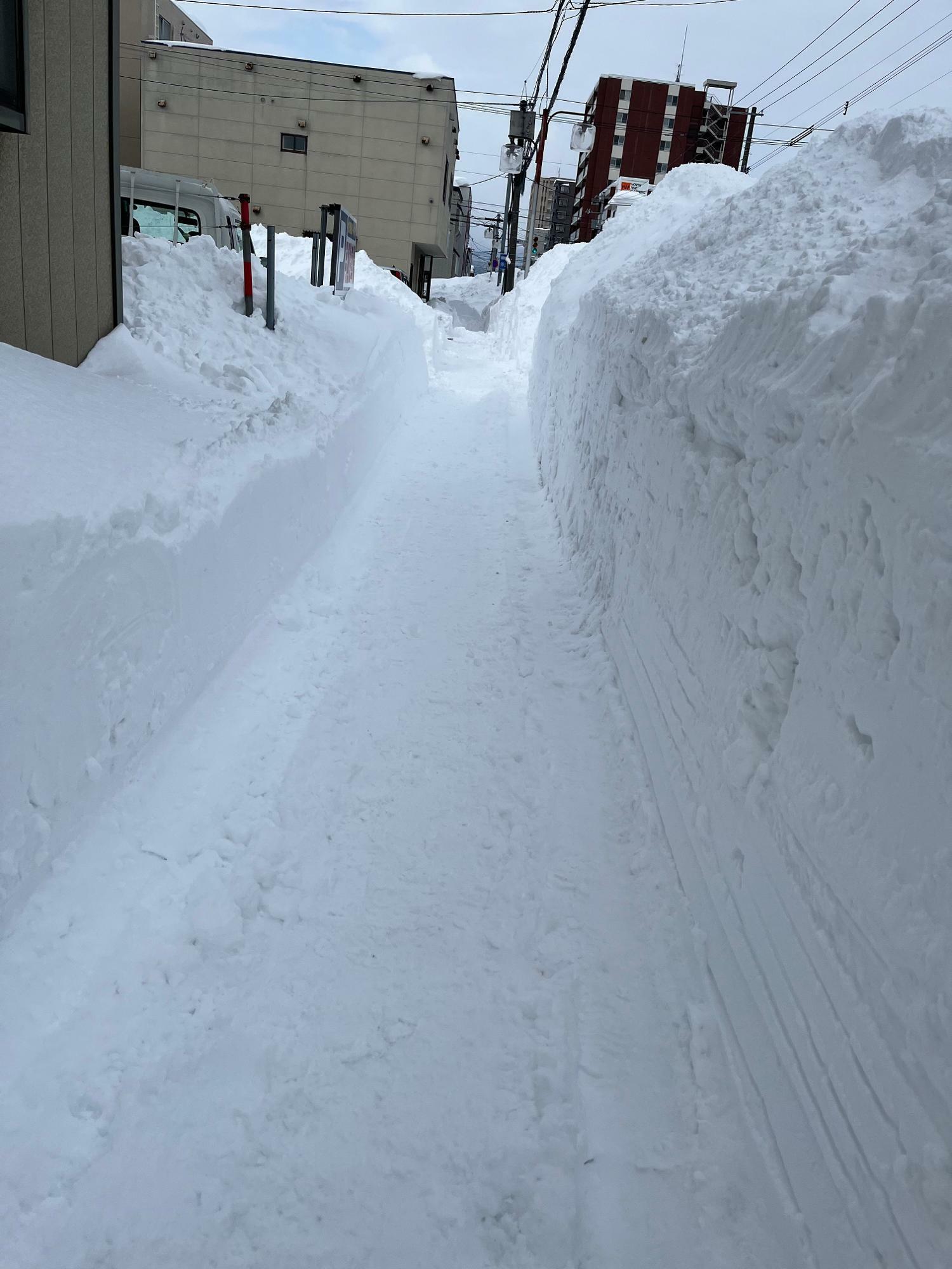 つい最近の東区。やっと歩道に除雪が入って人が歩けるようになりました