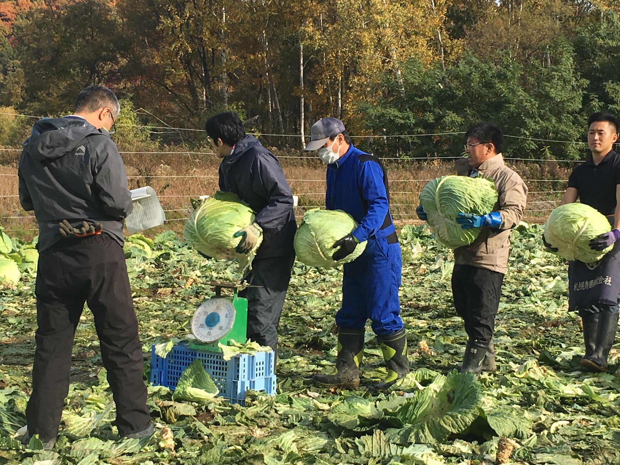 高齢化した生産者に代わり、若い職員などが運びます