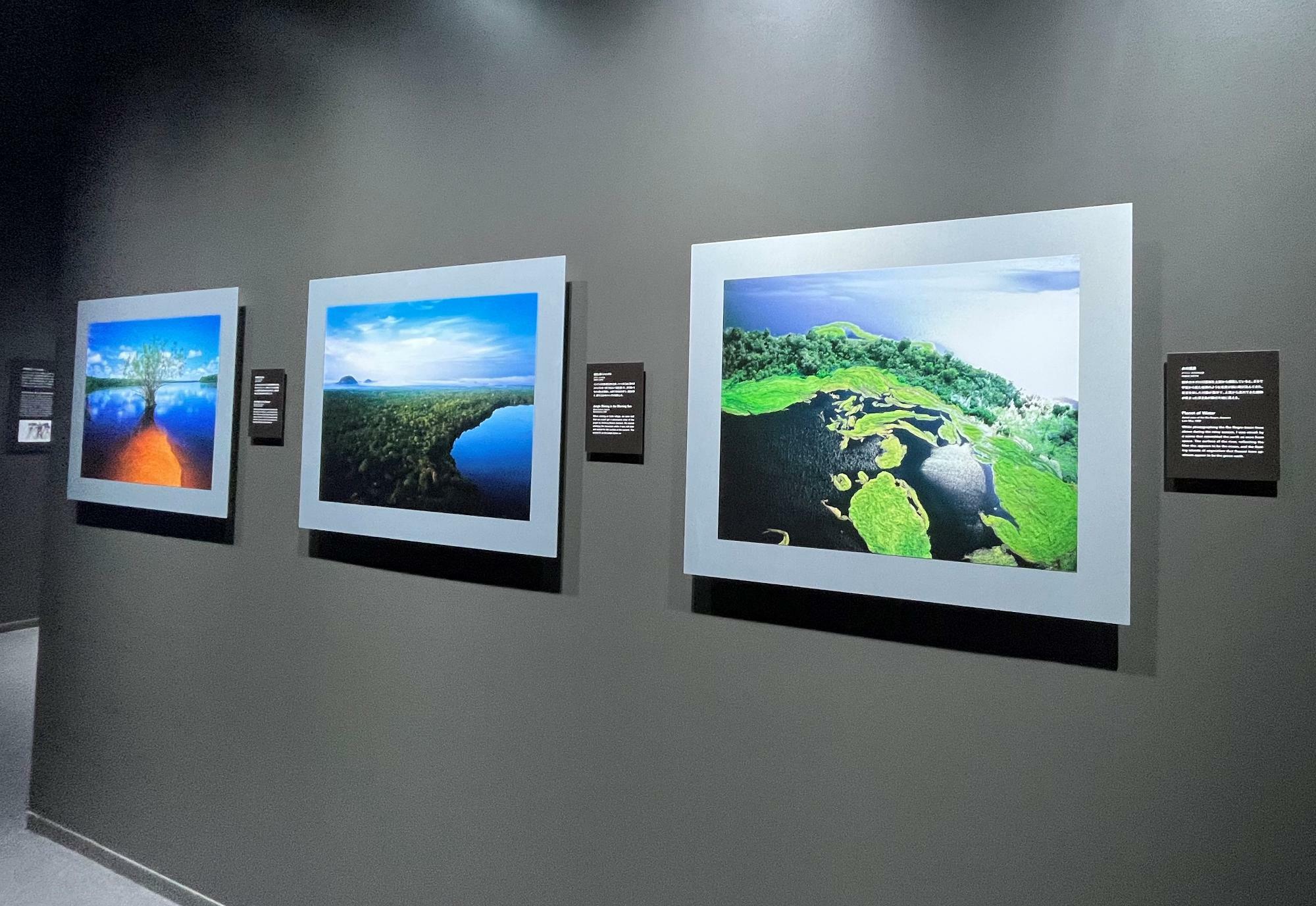 これらは天野氏が撮影した「水の惑星」「「朝日に輝くジャングル」「赤道直下に生きる」と題された写真たち