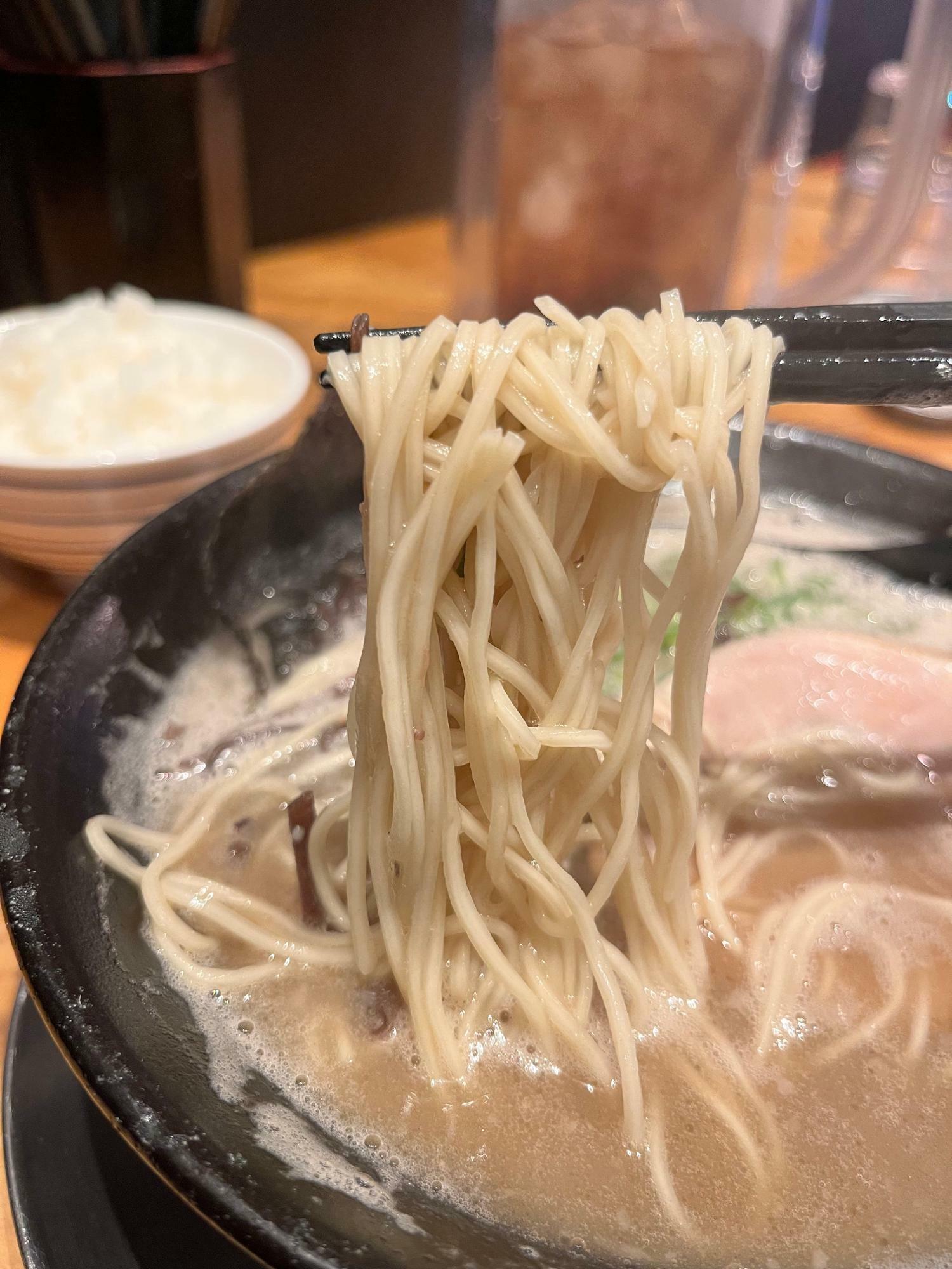 ストレート麺