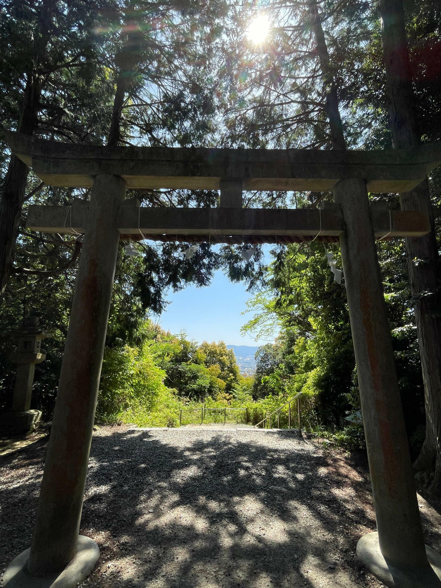 松尾山神社側から鳥居を望む