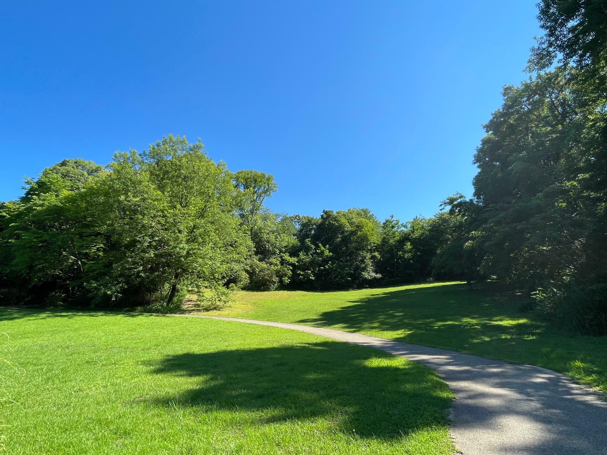 緑が多く、広々とした公園