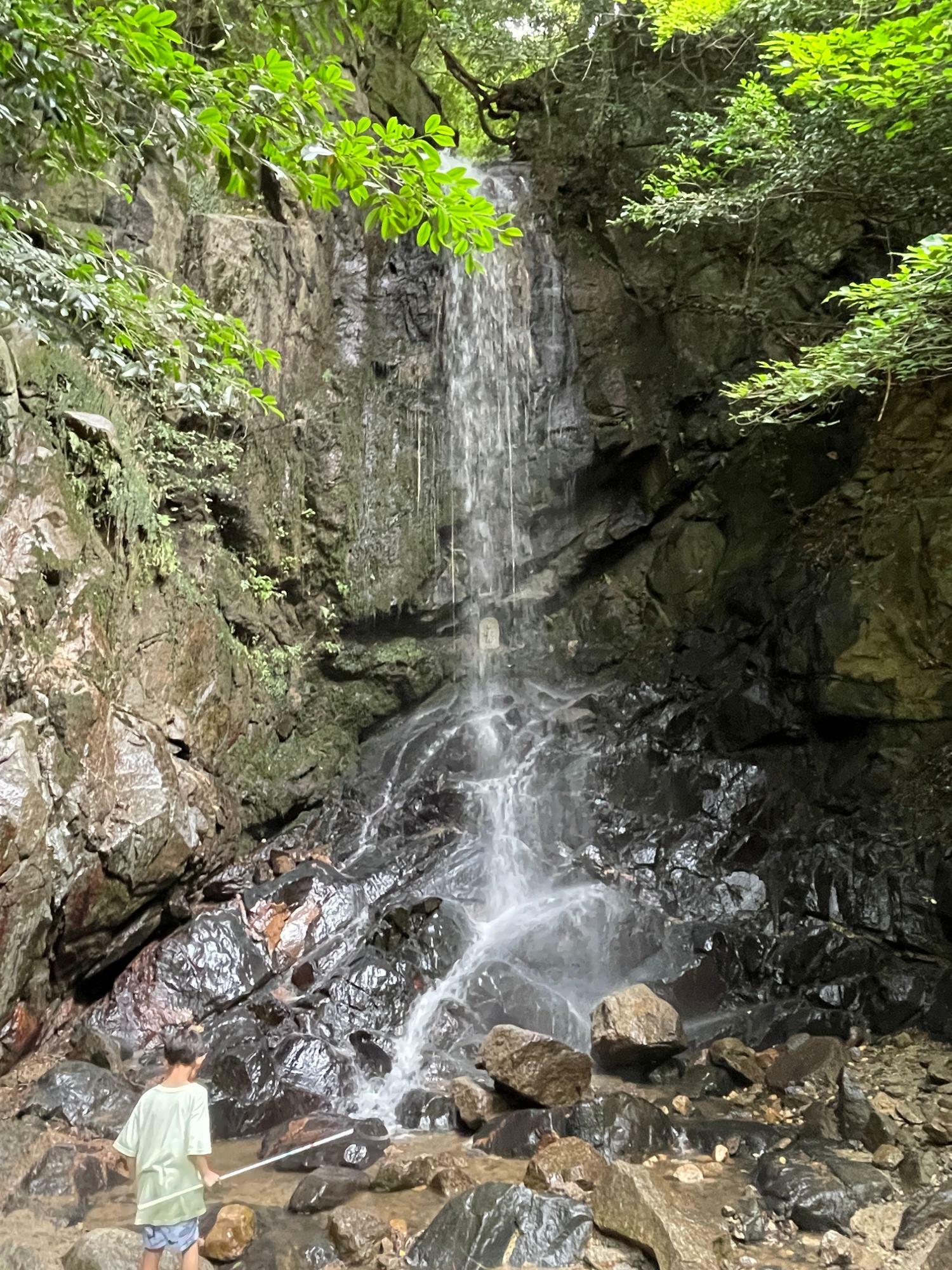 避暑に訪れた家族連れに遭遇　子どもさんが水遊びを楽しむ姿も