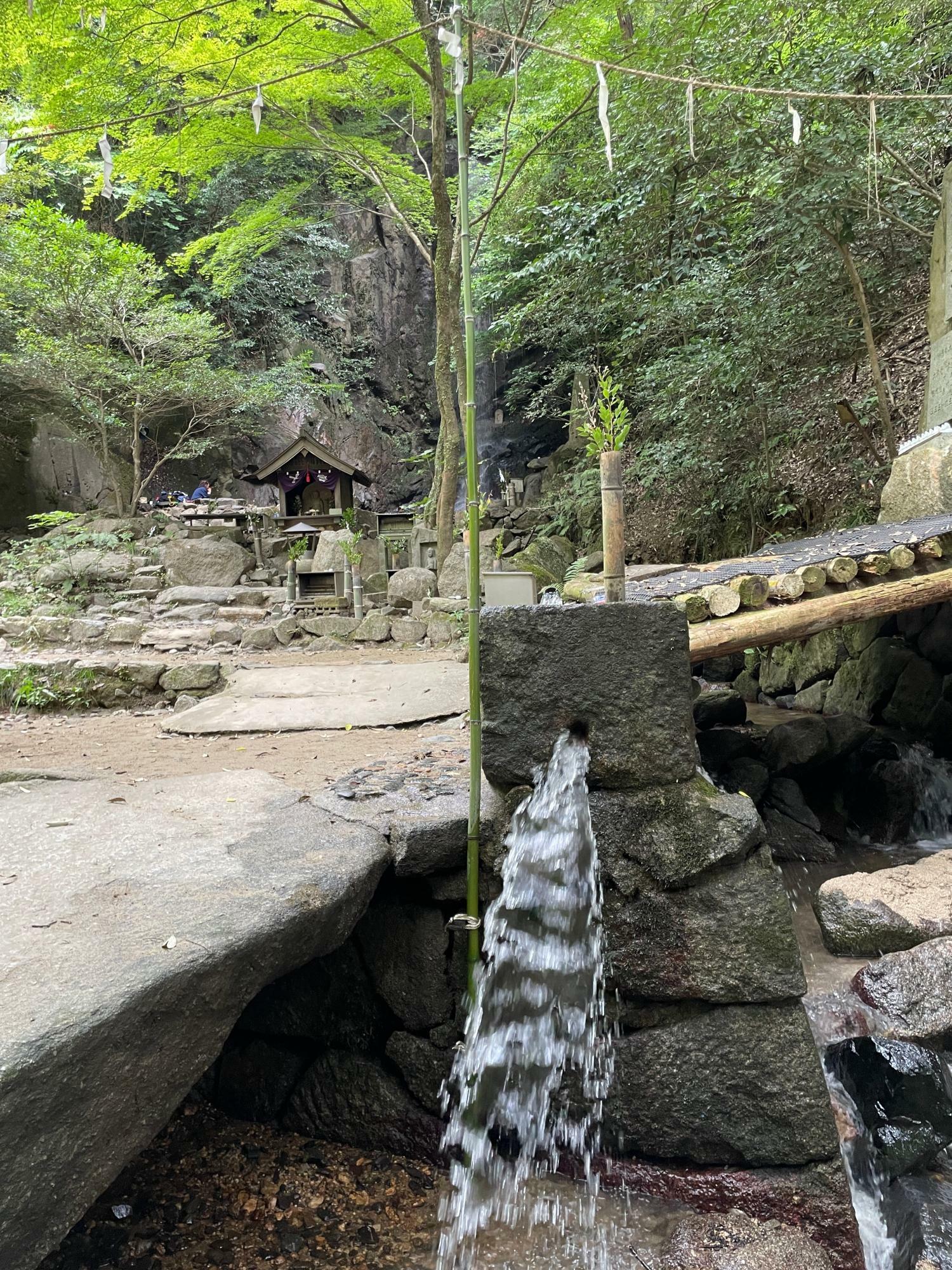 『桃尾の滝』からの水が勢いよく流れています