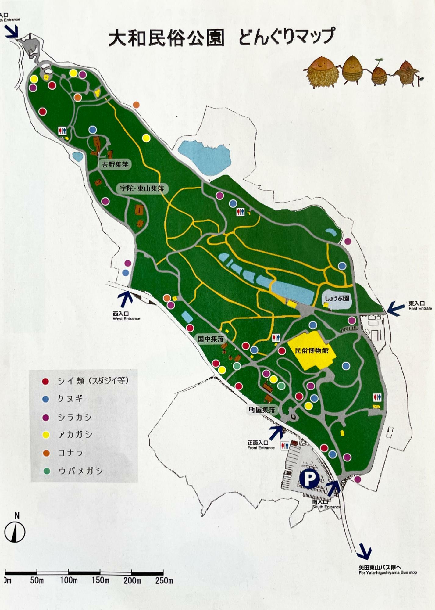 「大和民俗公園」どんぐりマップ