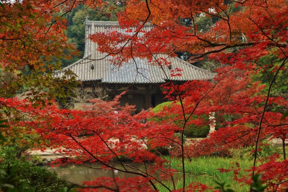 「長岳寺Instagram」より