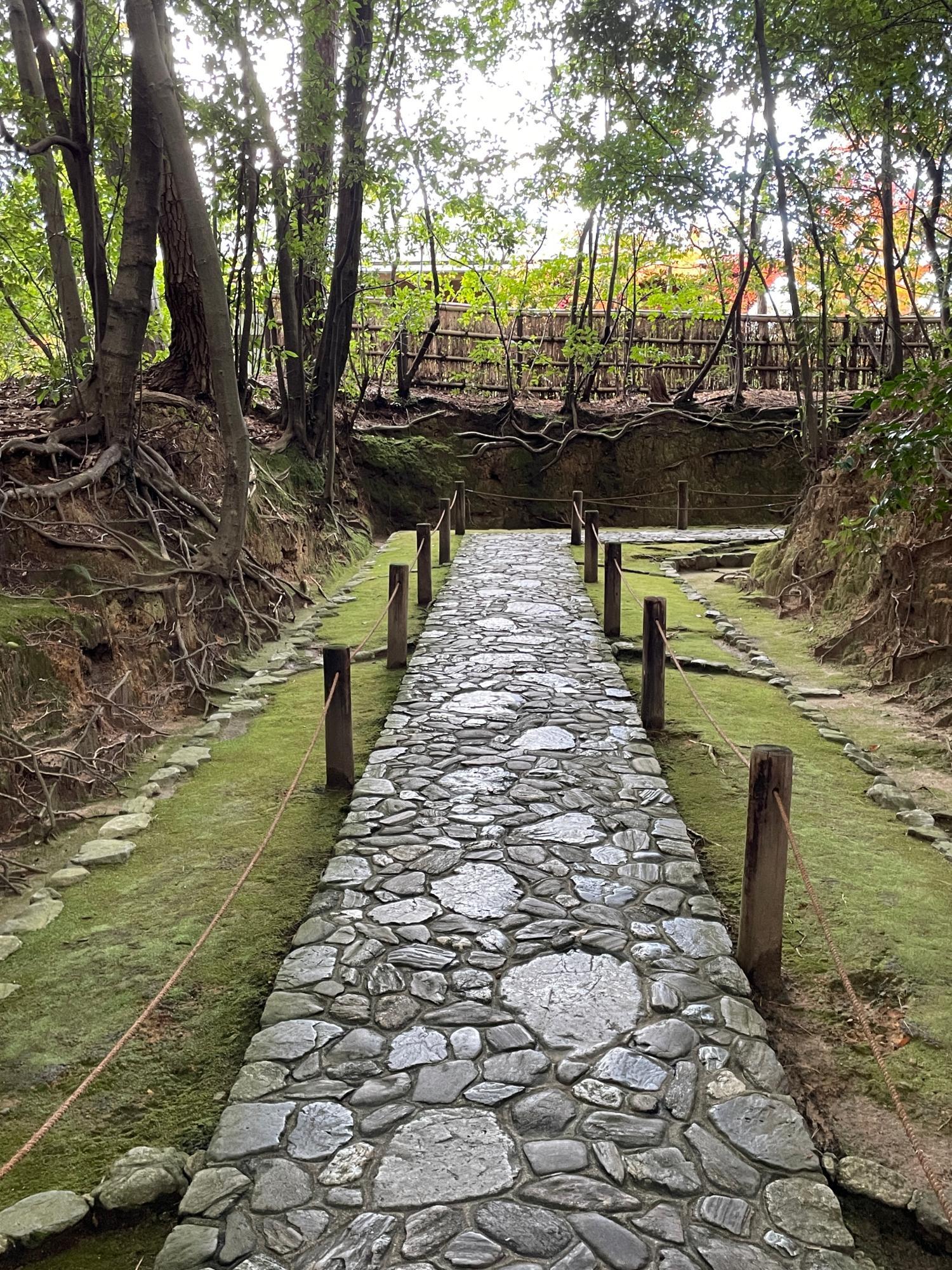 緑の苔が美しく、石畳の参道もピカピカ！