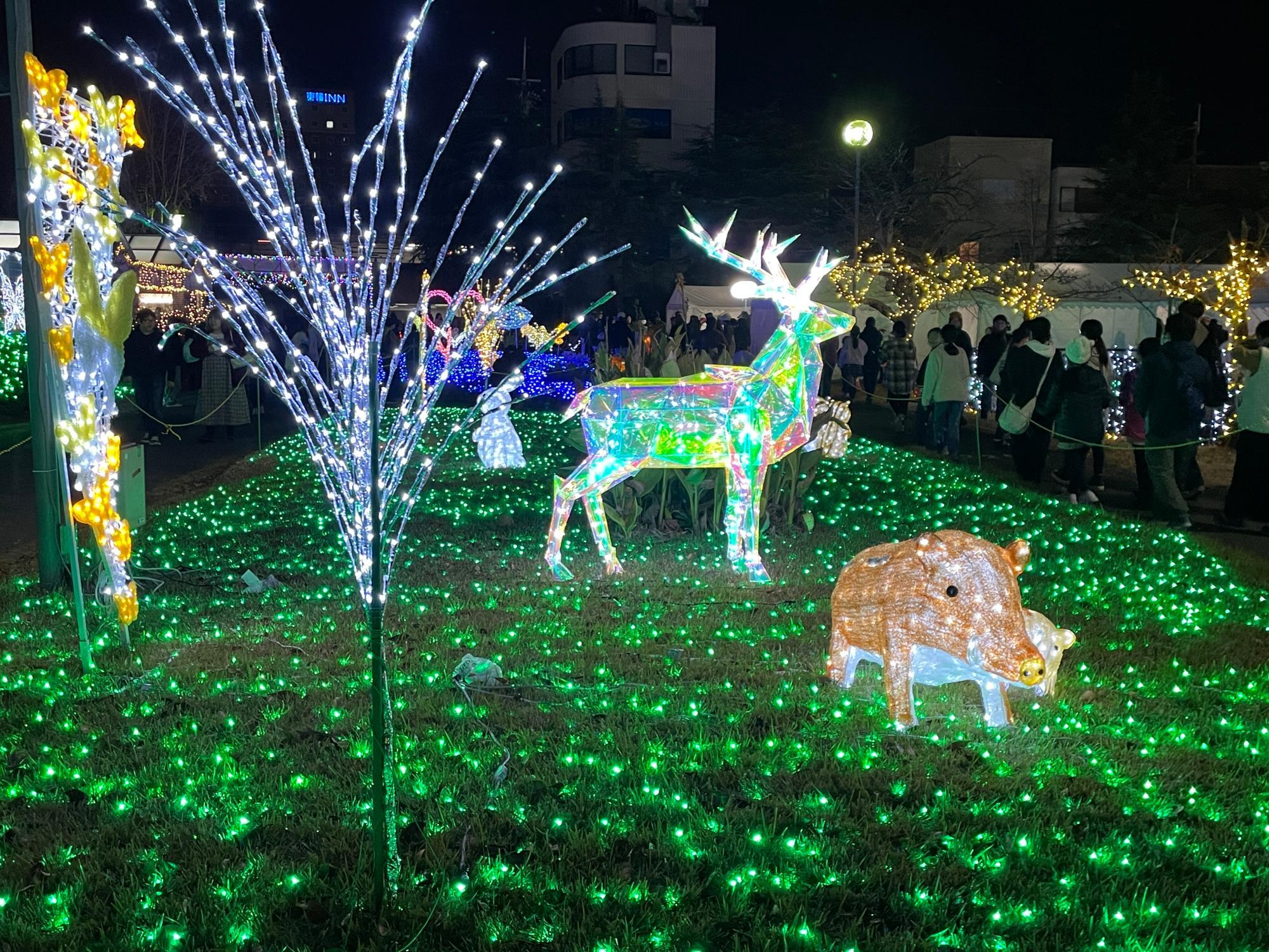 山エリアの鹿・イノシシ