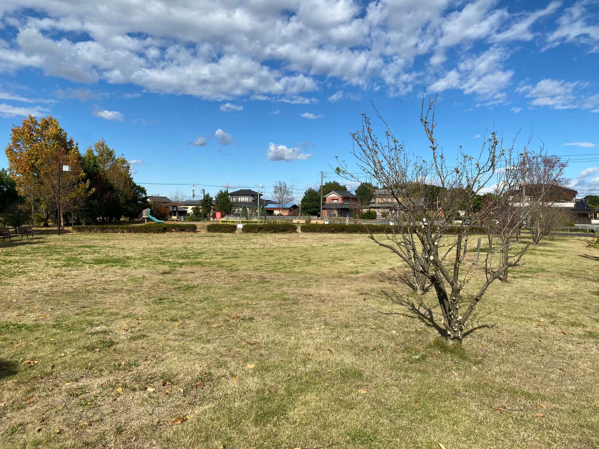 上川崎公園