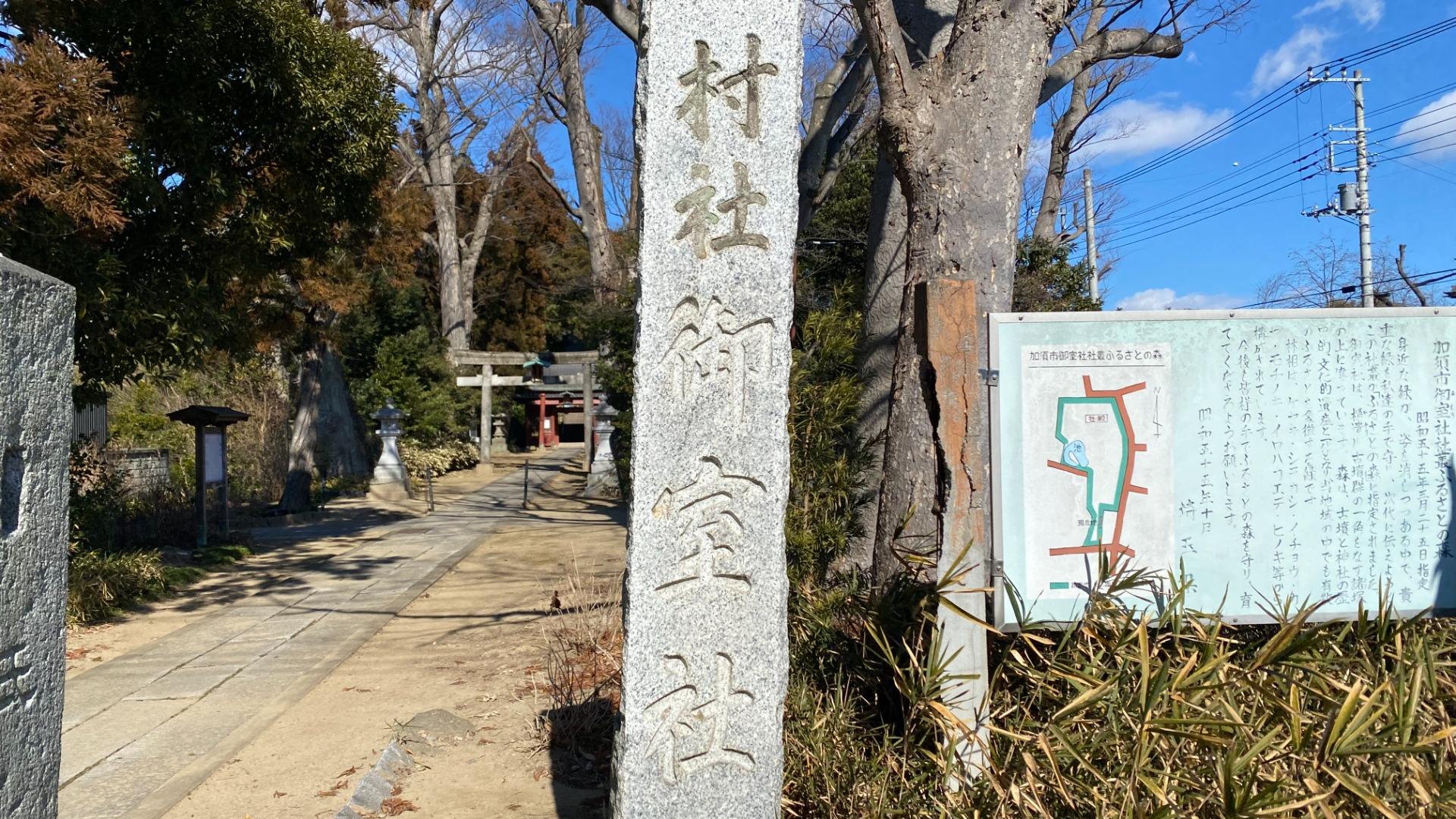 男根 