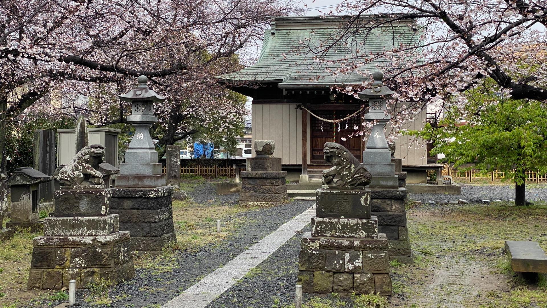 桜まつり・ふれあい広場